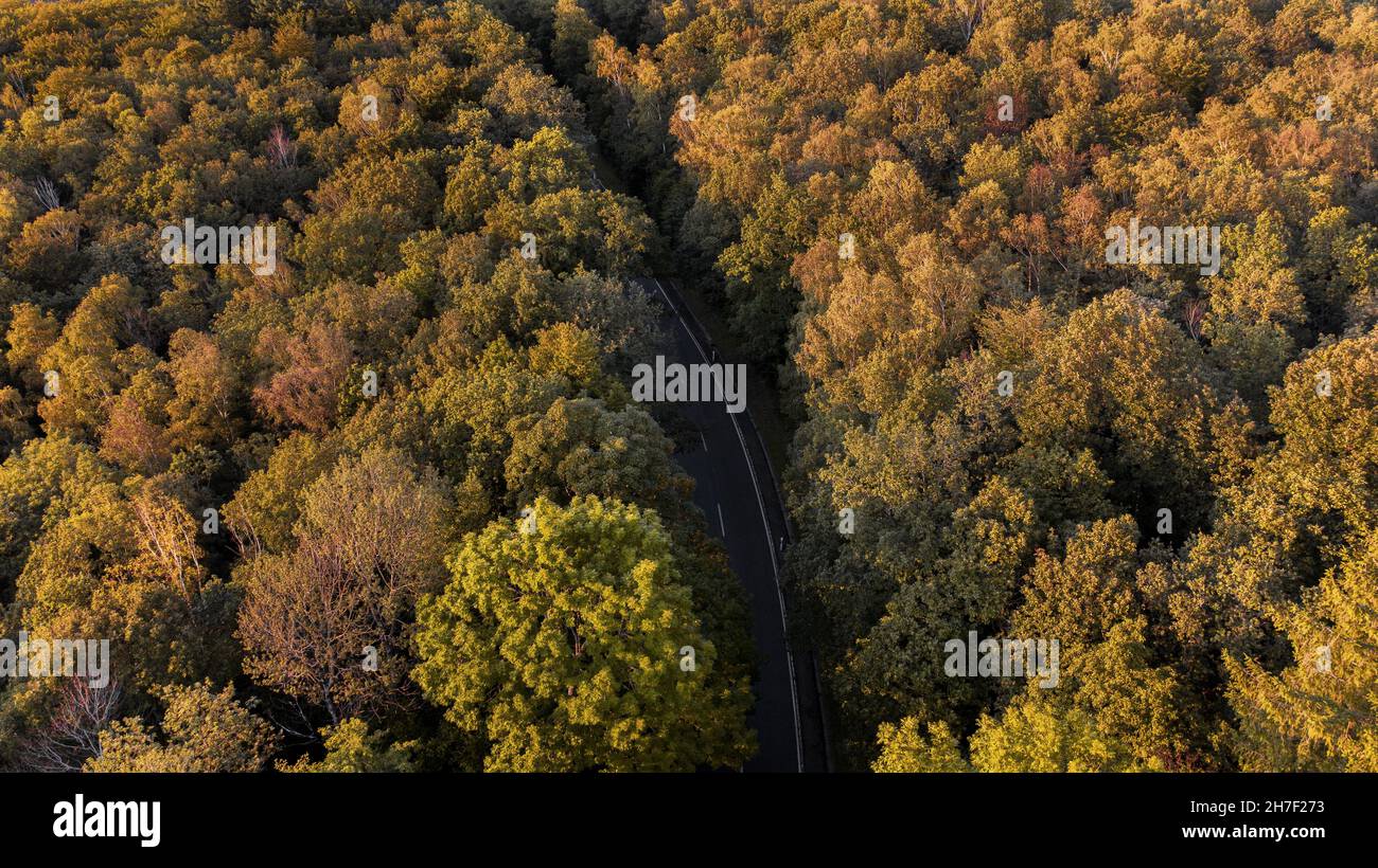 Aerial view of a road surrounded by forest trees in Autumn Stock Photo ...