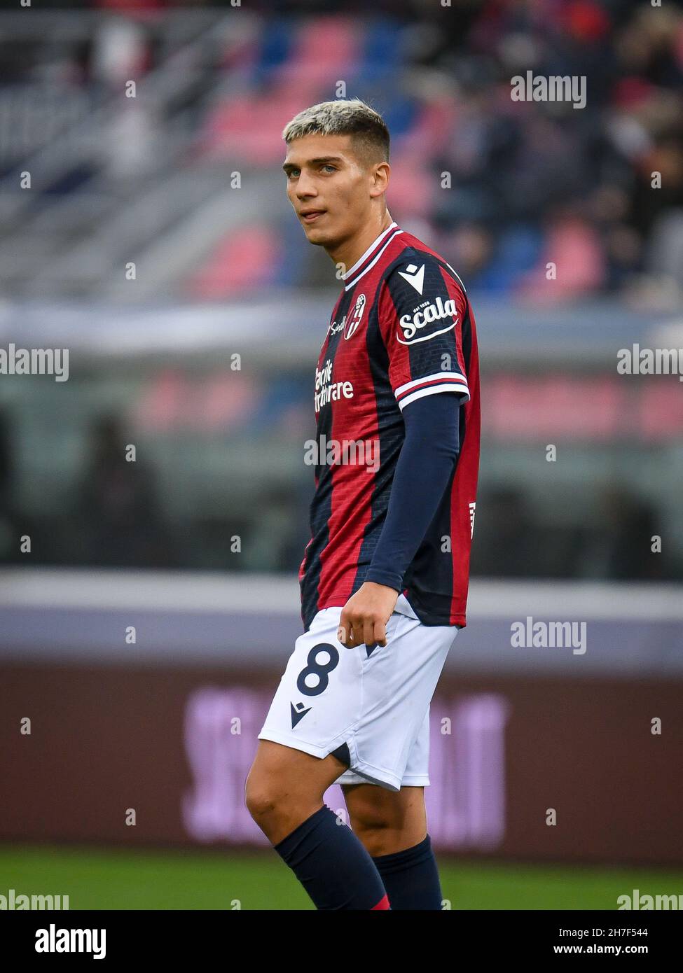 Nicolas dominguez portrait hires stock photography and images Alamy