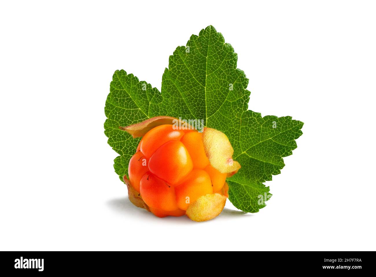 Cloudberry with leaf isolated on white background Stock Photo