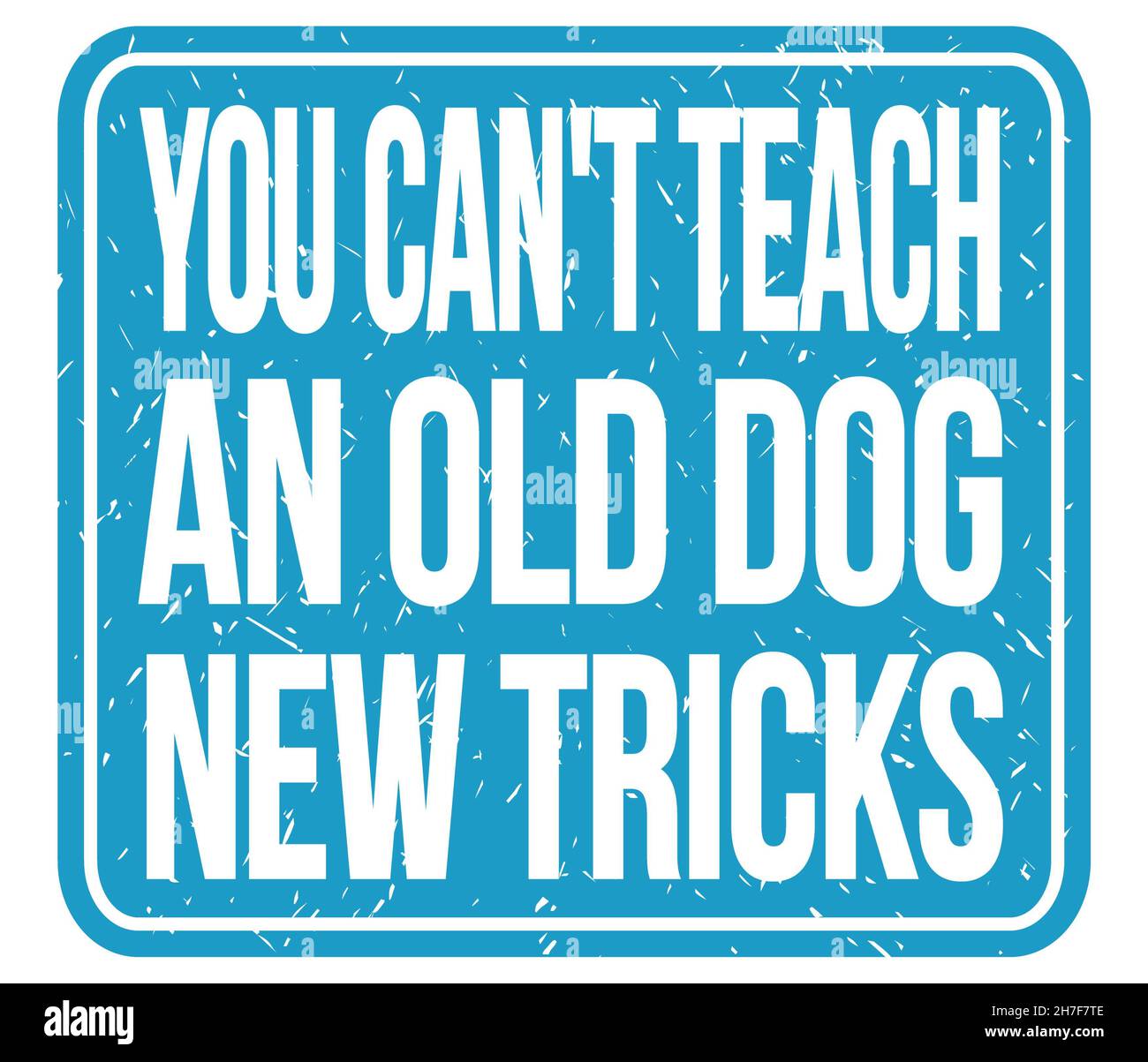 YOU CAN'T TEACH AN OLD DOG NEW TRICKS, text written on blue stamp sign  Stock Photo - Alamy