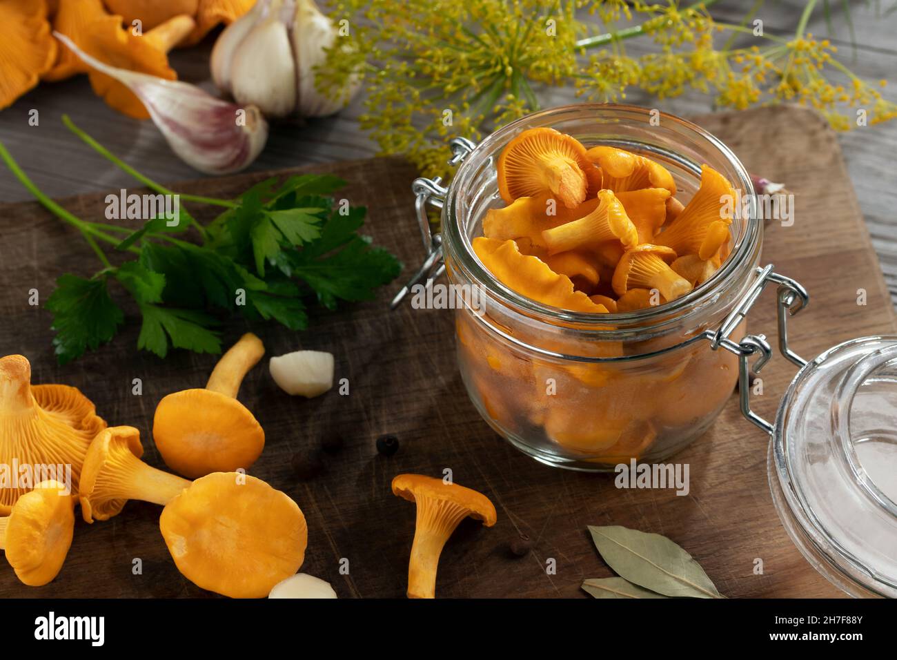 Preserving chanterelle mushrooms in a jar with spices and herbs. Pickling wild edible mushrooms Stock Photo