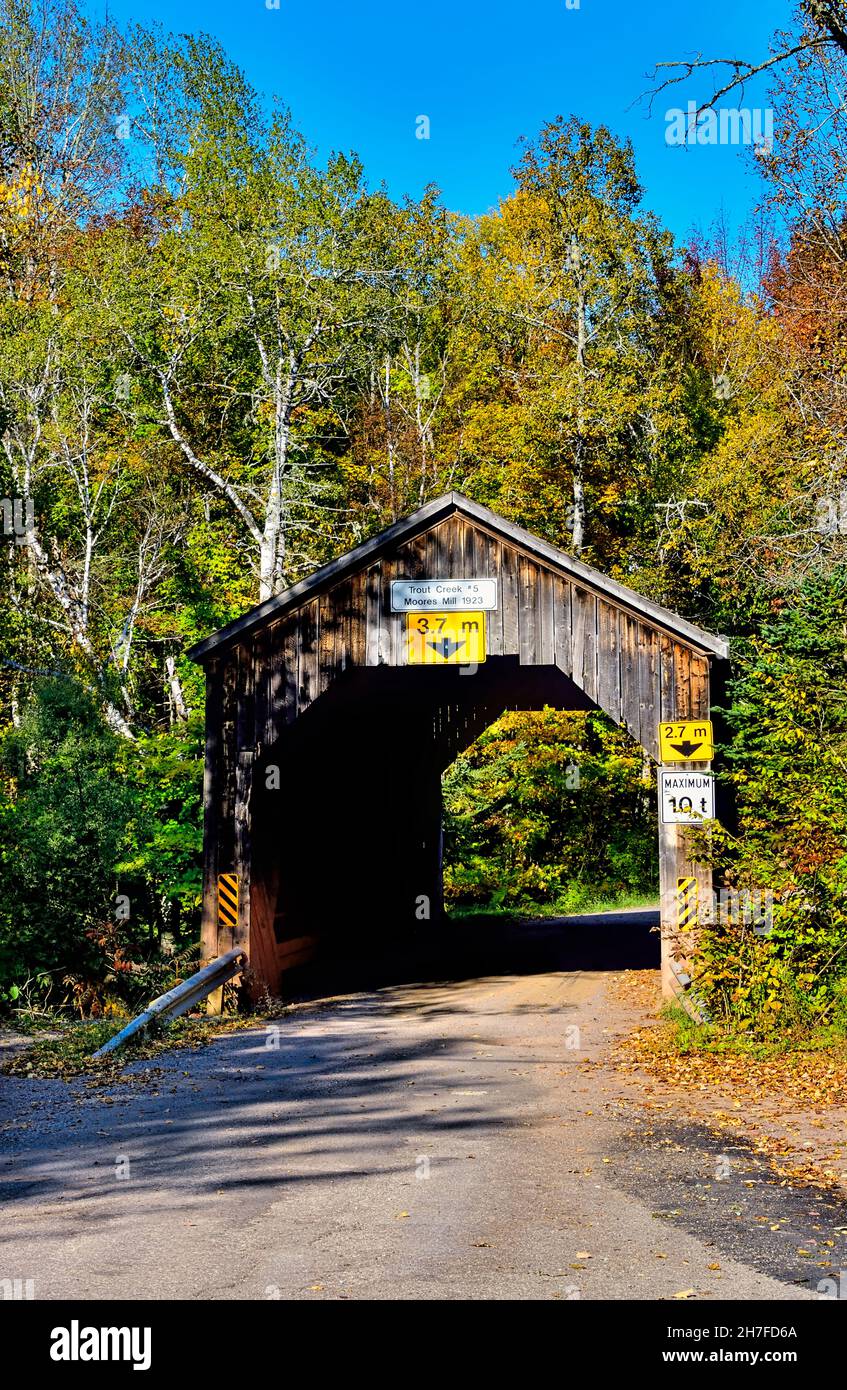 A vertical autumn  image  of Trout Creek #5 covered bridge on a rural road near Waterford New Brunswick Canada. Stock Photo