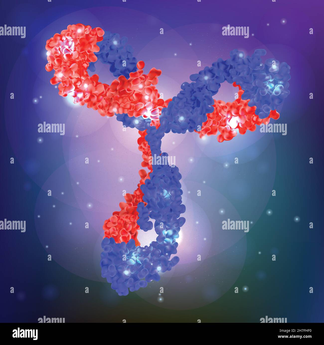 BioScience Antibody. vector illustration of an antibody, or immunoglobulin, molecule. Y-shaped molecules that bind to specific antigens viral Stock Vector