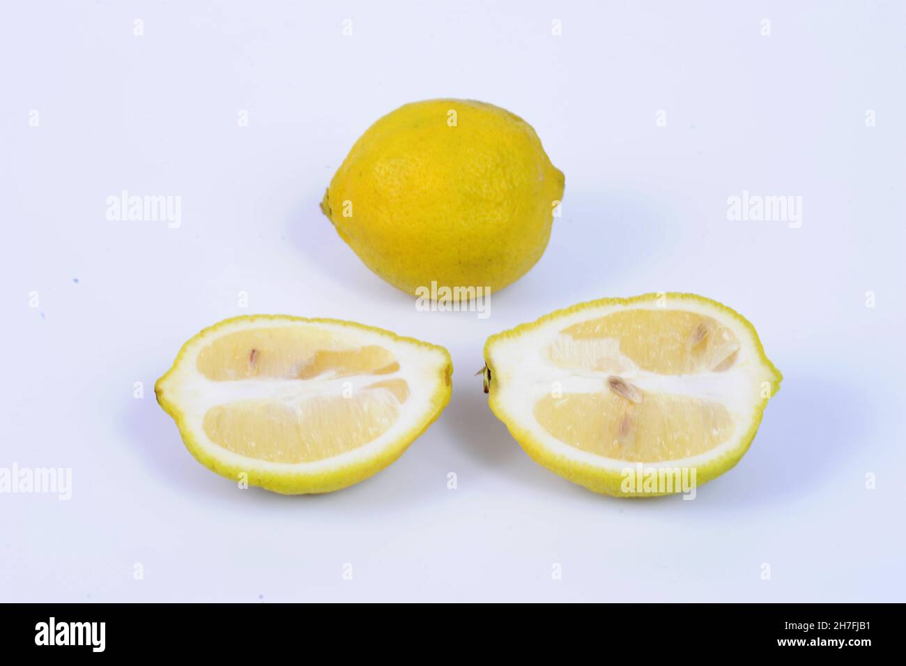 The lemon, Citrus limon, is a species of small evergreen tree in the flowering plant family Rutaceae, native to South Asia, primarily Northeast India. Stock Photo