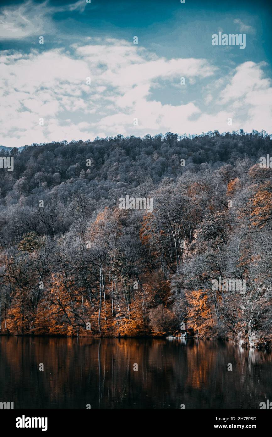 Vertical shot of Lake Parz surrounded by trees in autumn in Dilijan, Armenia Stock Photo