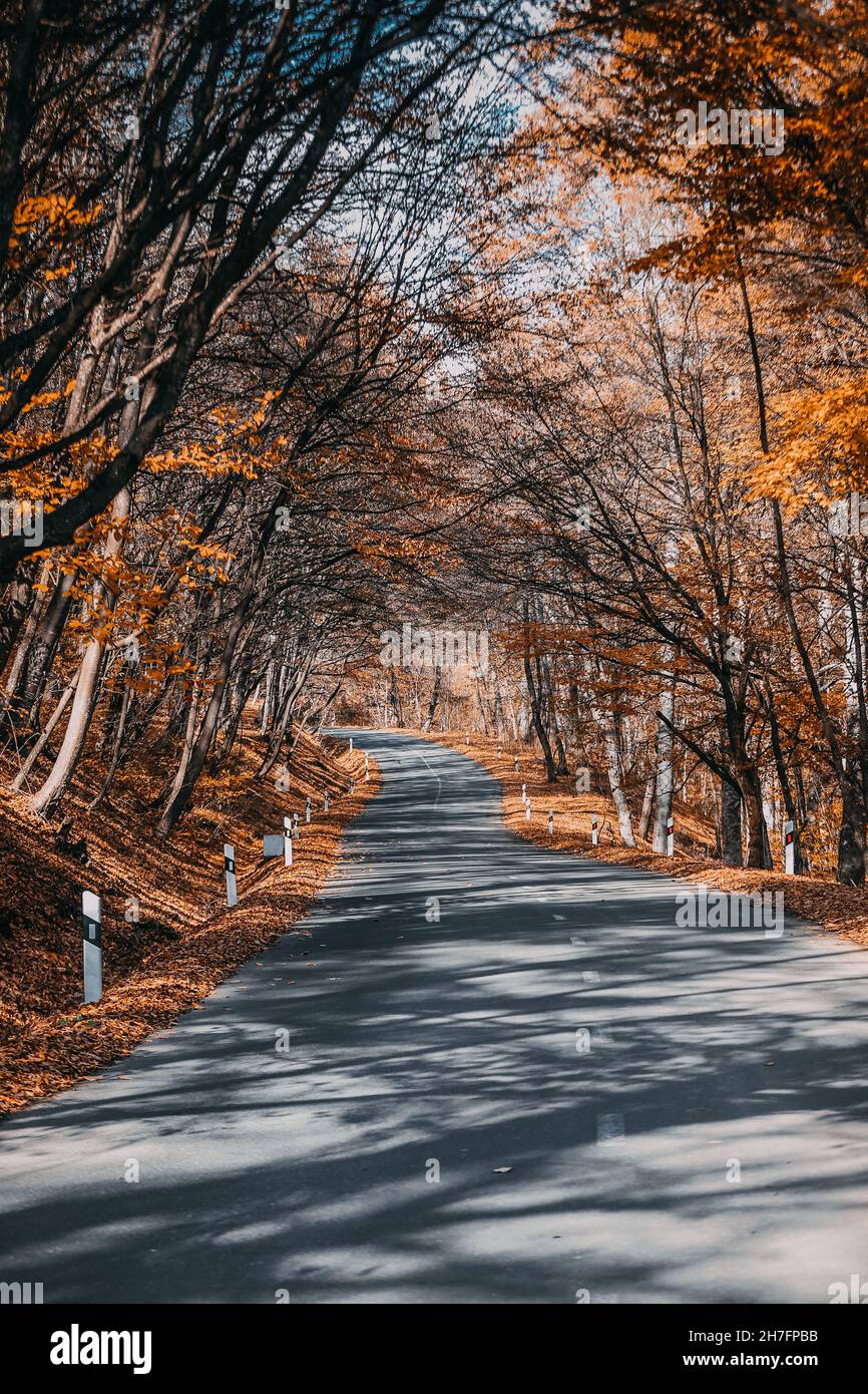 Vertical shot of a road surrounded by a forest covered in dried leaves in autumn in Dilijan, Armeni Stock Photo