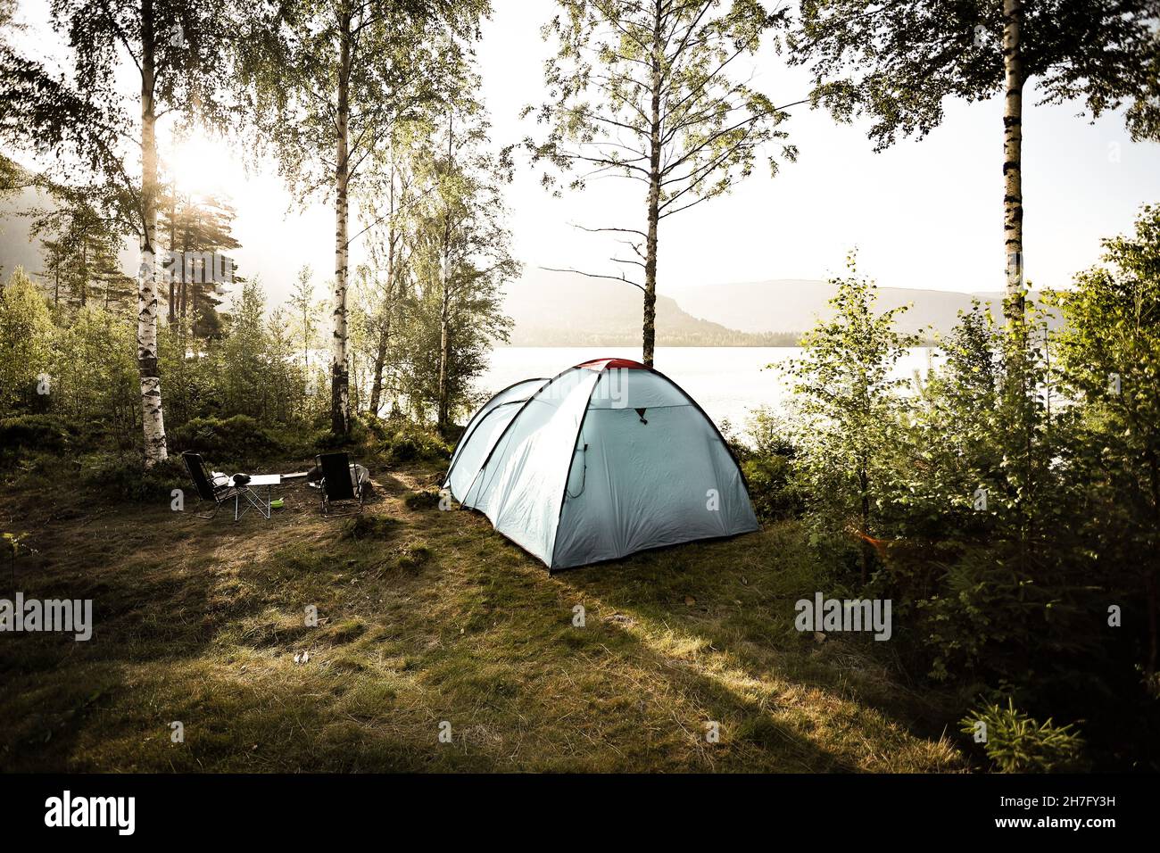 Tent in a green forest on the lakeshore Stock Photo - Alamy
