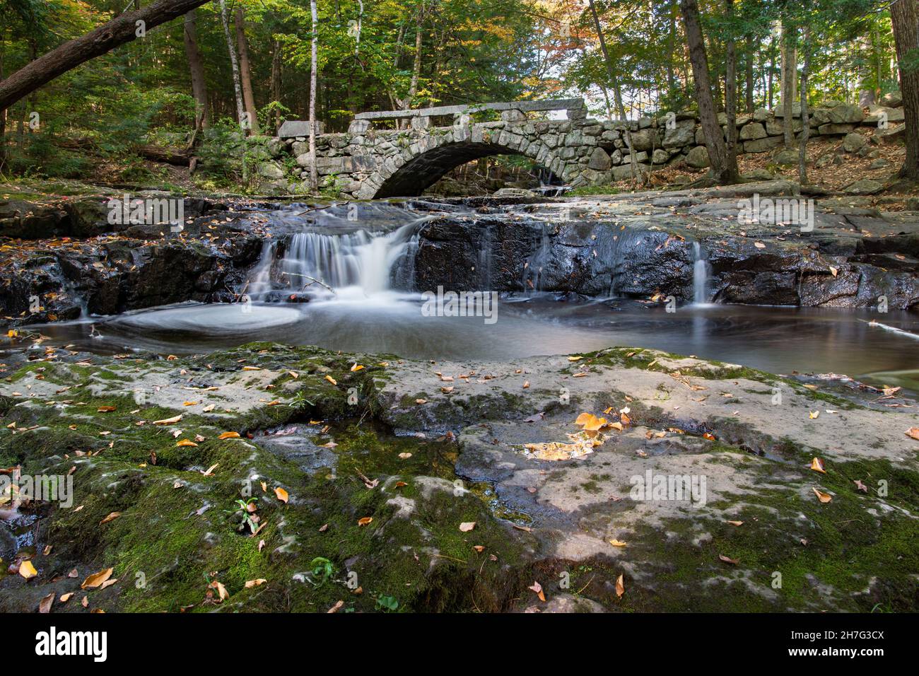 Beautiful waterfall in the middle of forest during Autumn Stock Photo ...