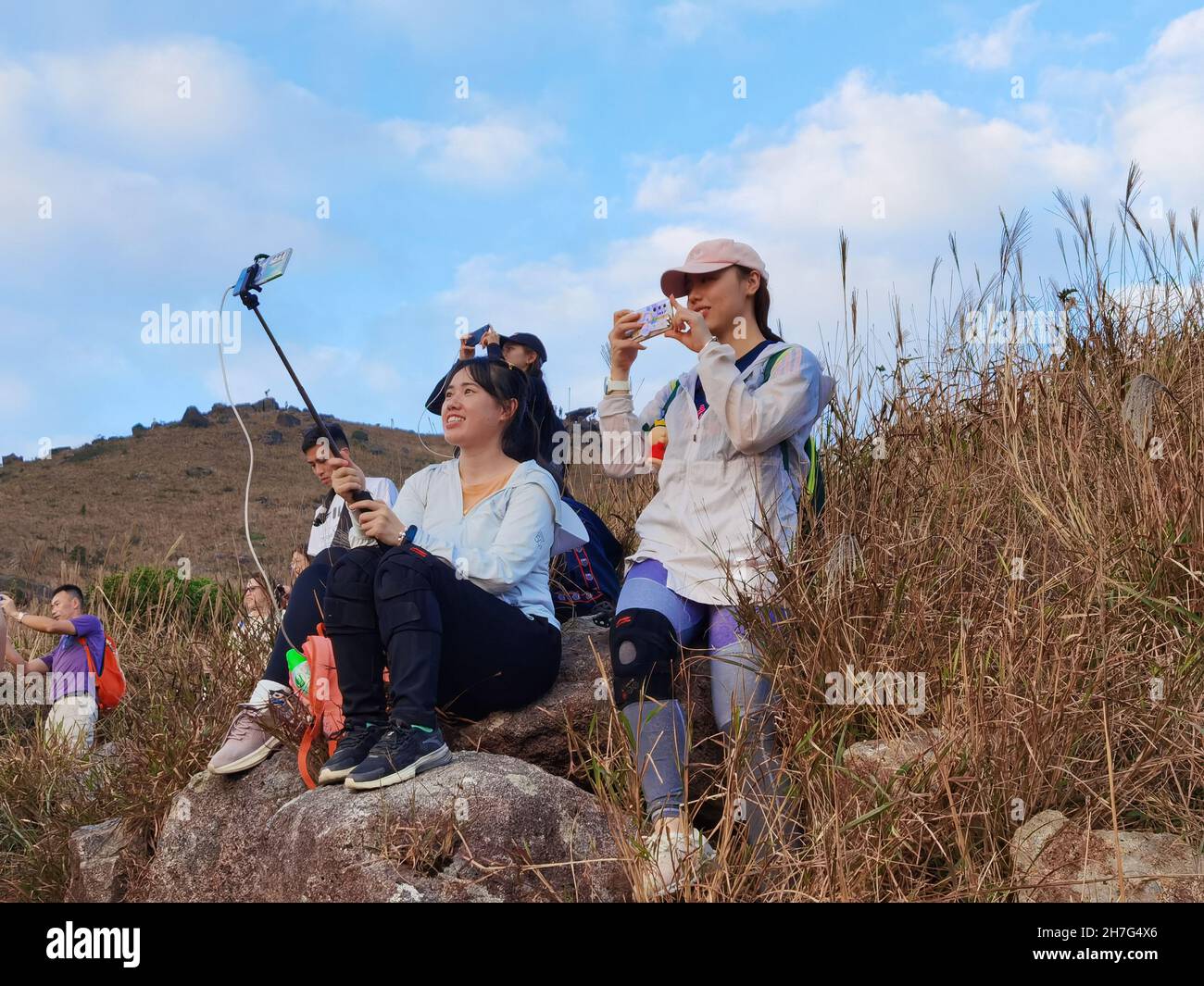 21 11 2021 tourists take photos or selfie when enjoy sunset over field of Imperata cylindrica, or cogongrass or kunai grass at Sunset Peak or Tai Tung Stock Photo