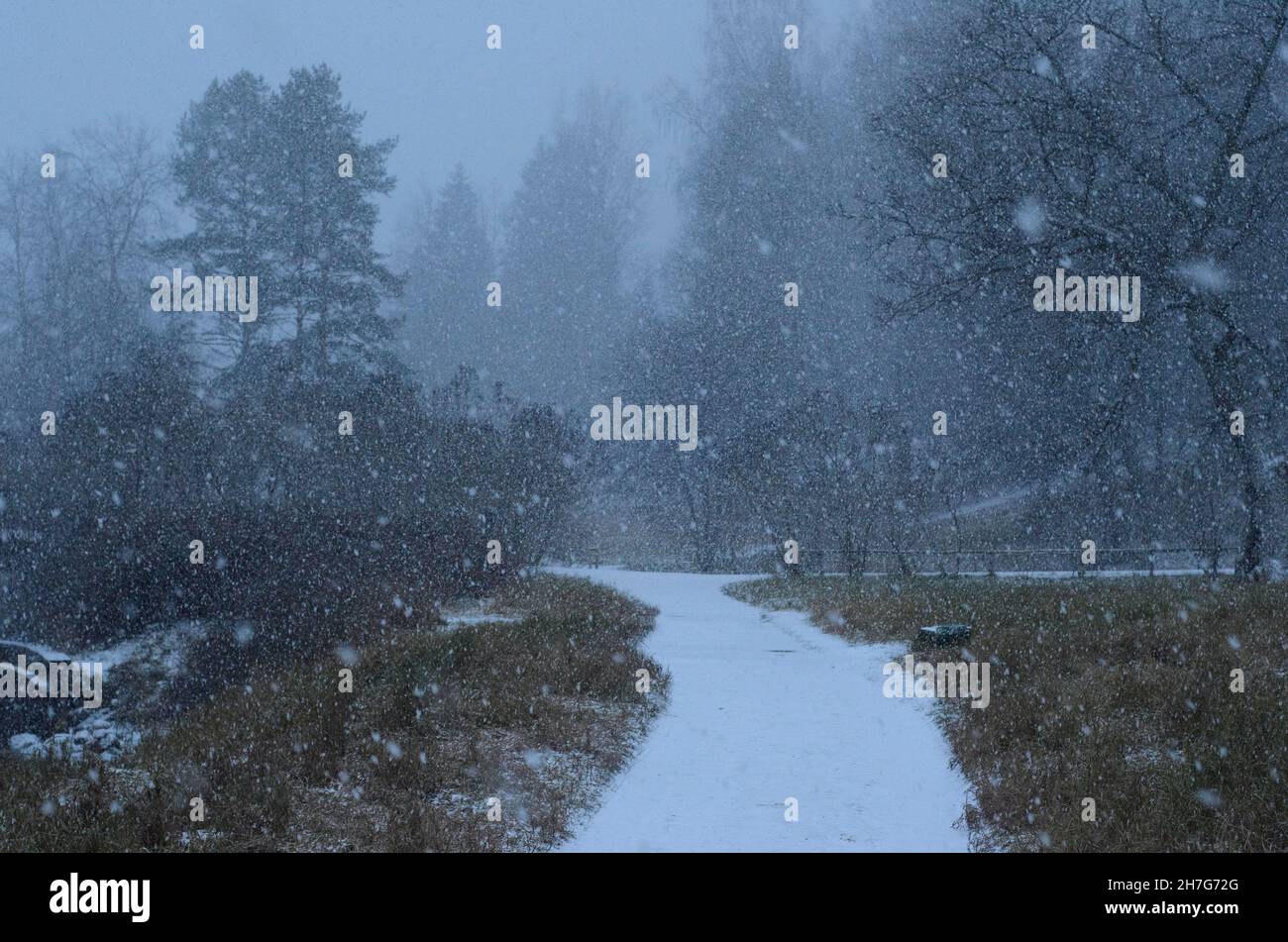 Landscape without people. Cloudy November weather, the first snowfall. Twilight. Stock Photo
