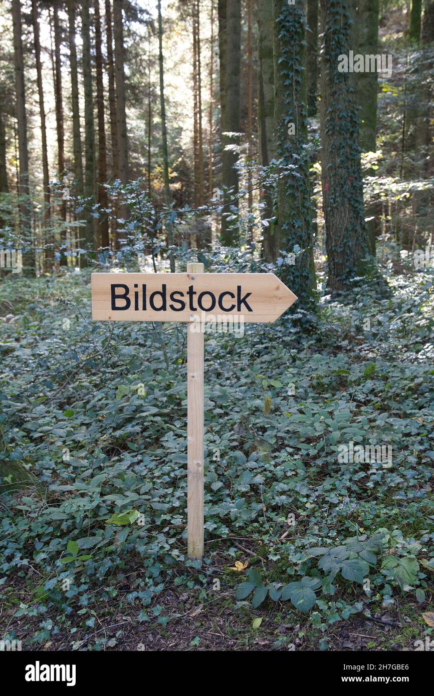 Scenic shot of a wooden sign showing direction with Bildstock written on it in the forest Stock Photo