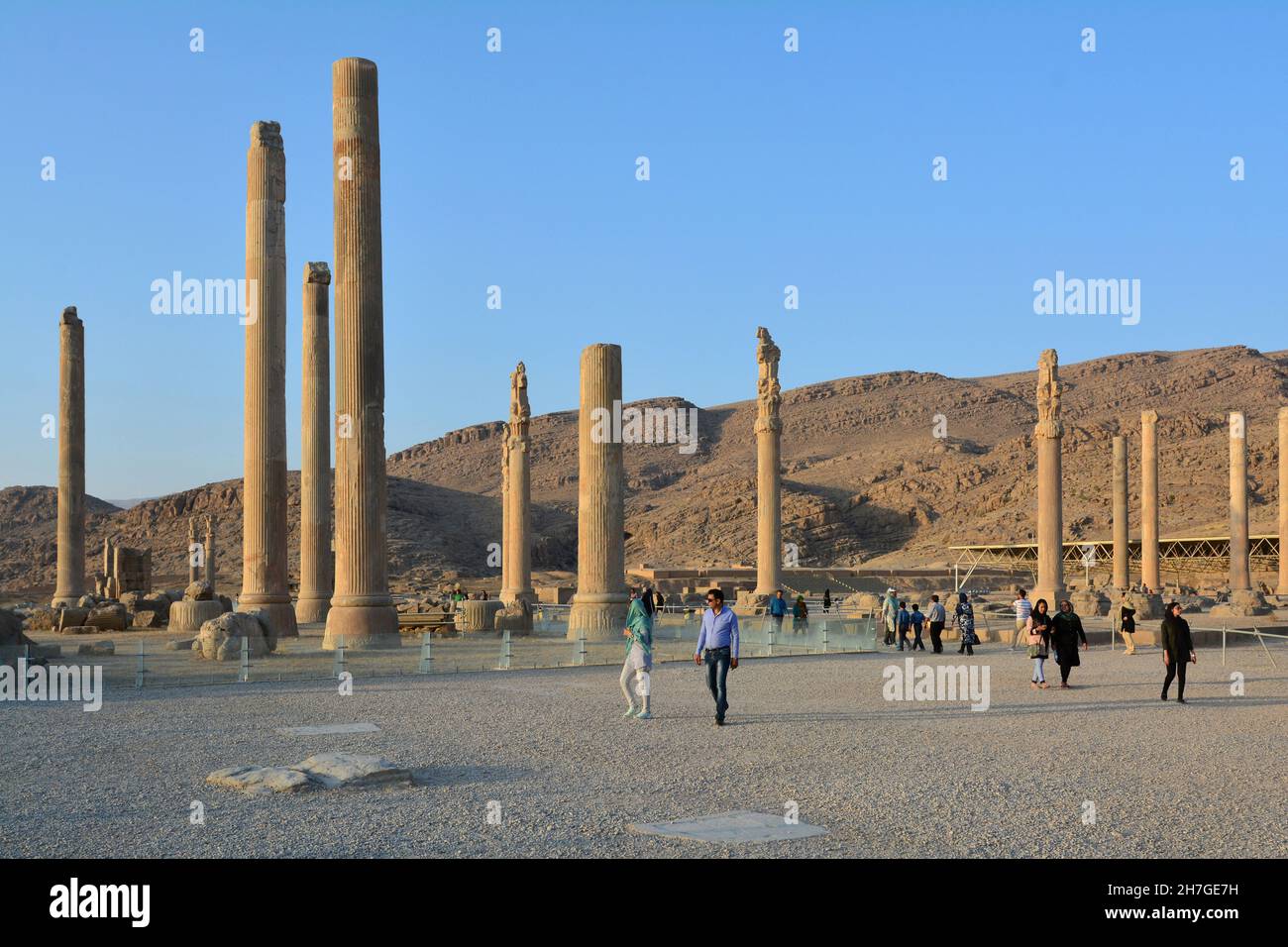 IRAN. SHIRAZ. PERSEPOLIS. THE COLUMNS OF THE APADANA (OR THE DARIUS' COURTROOM), CAPITAL OF THE PERSIAN EMPIRE OF THE ACHEMENIDE DYNASTY, HAS BEEN FOU Stock Photo