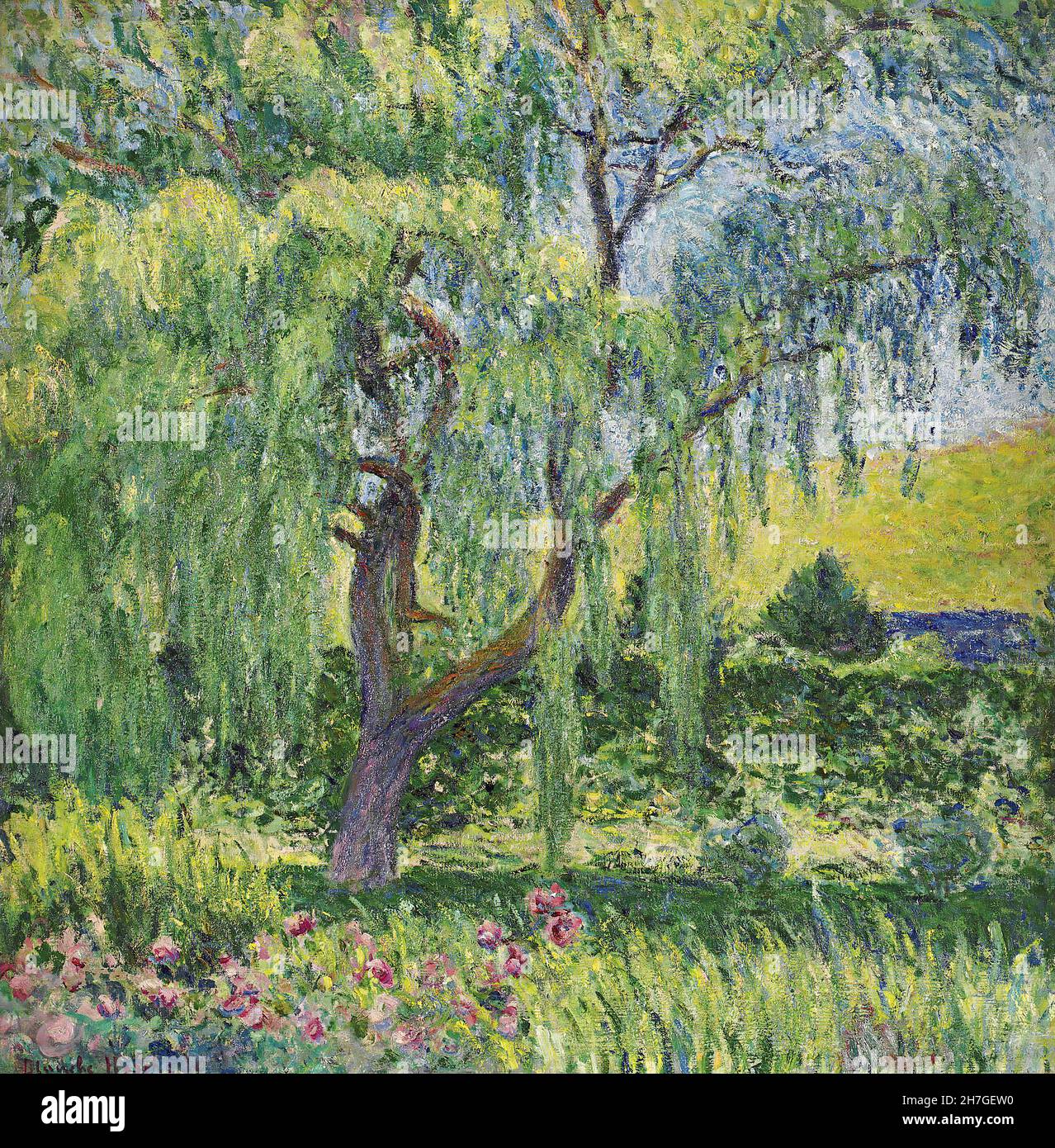 Blanche Giverny Willow and Roses Stock Photo Alamy