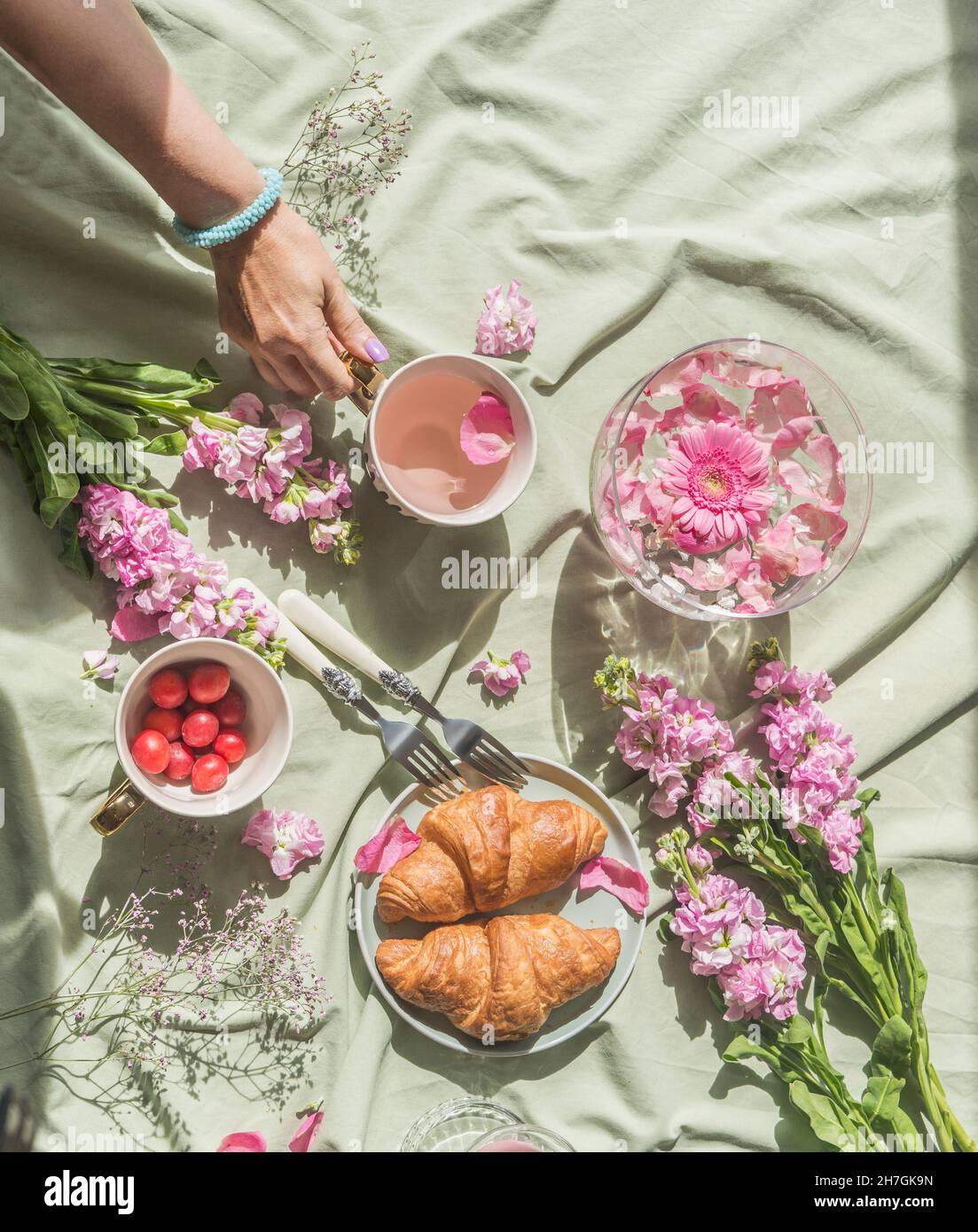 Romantic summer picnic with cherry blossom tea, croissants, cherries and woman hand on pale textile background. Food and drink concept with flowers. T Stock Photo