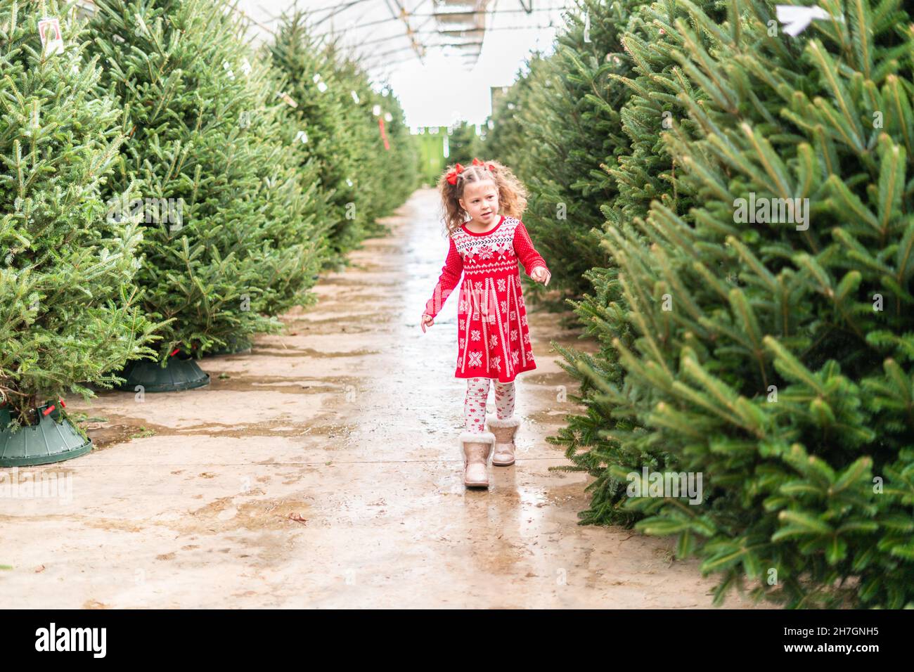 Little girl in red dress at the Christmas tree farm Stock Photo - Alamy