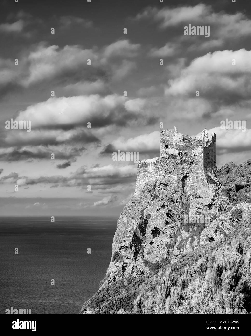 Livorno, port of culture | The Florentine The Florentine, image size:1040x1390