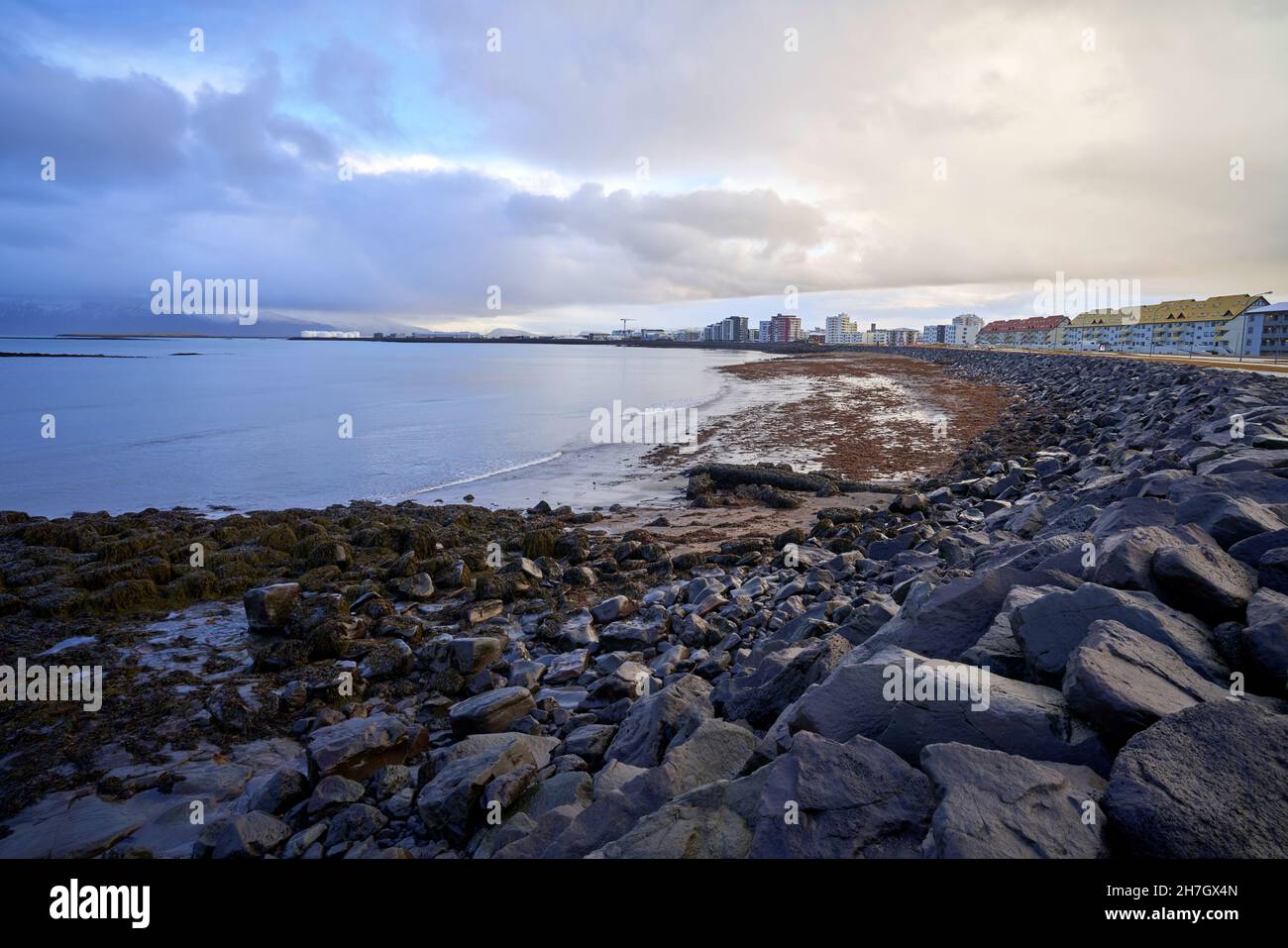Photograph taken from the Sculpture and Shore walk in Reykjavik