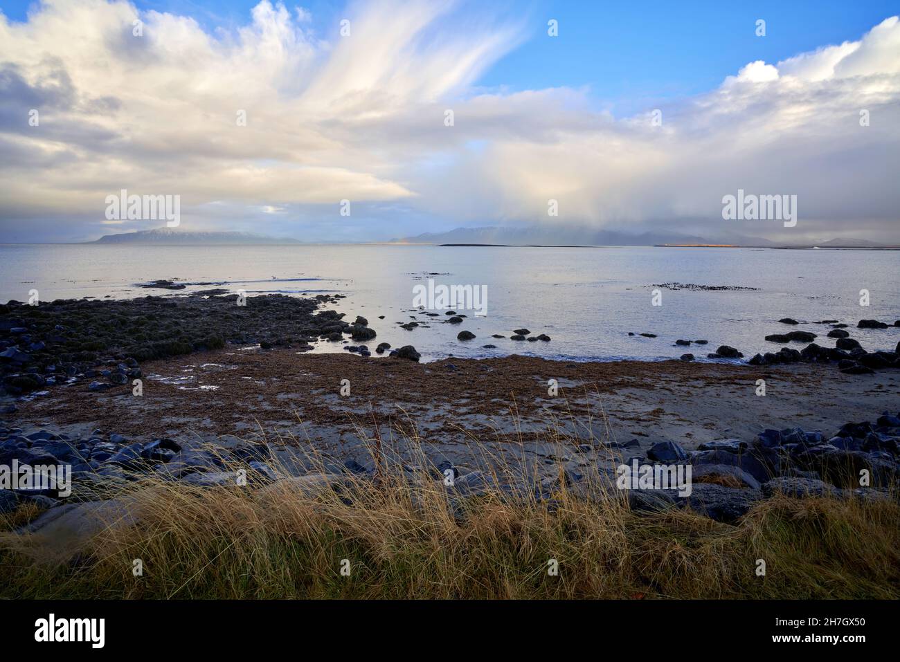 Photographs taken from the Sculpture and Shore walk in Reykjavik