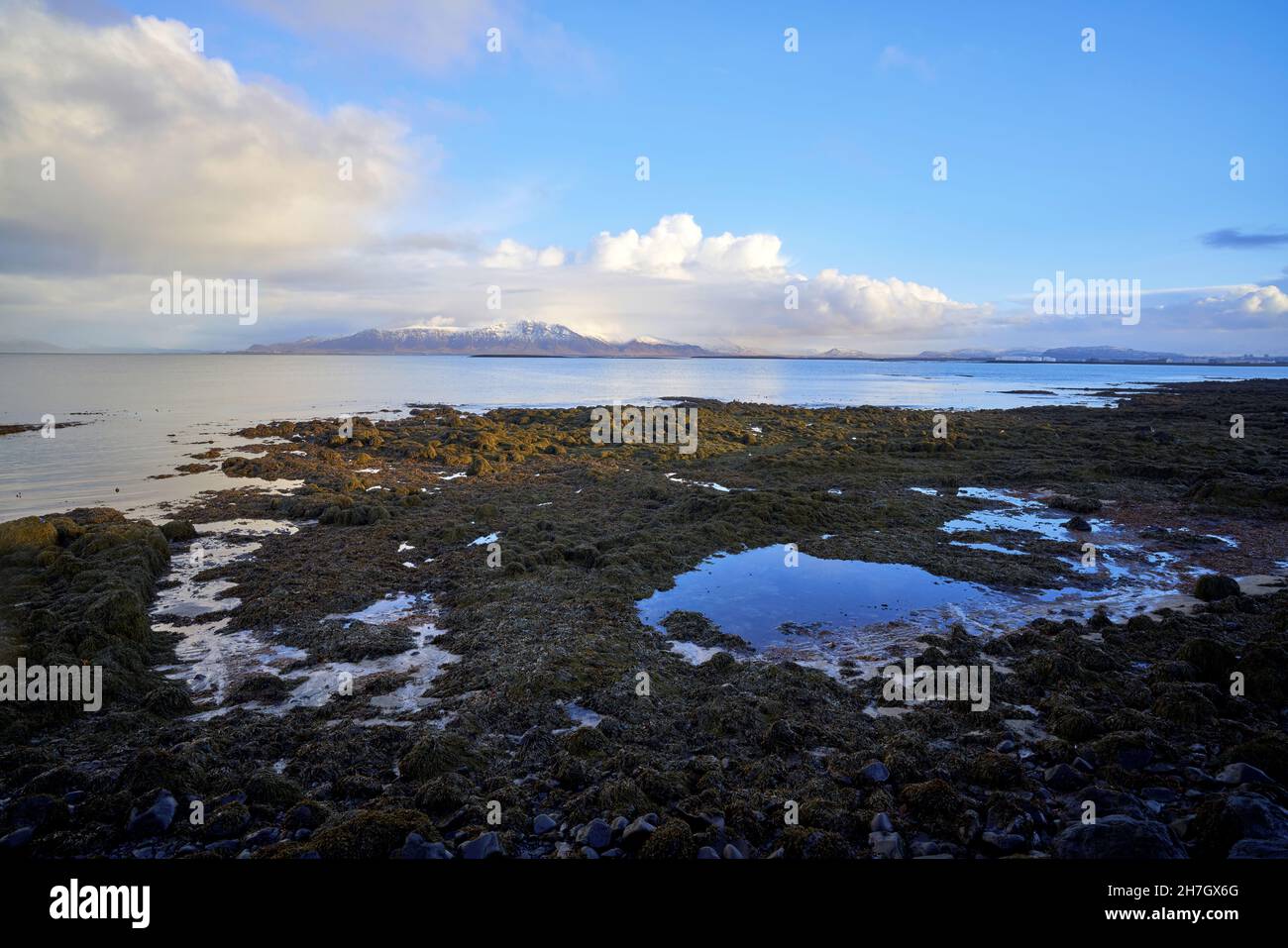 Photographs taken from the Sculpture and Shore walk in Reykjavik