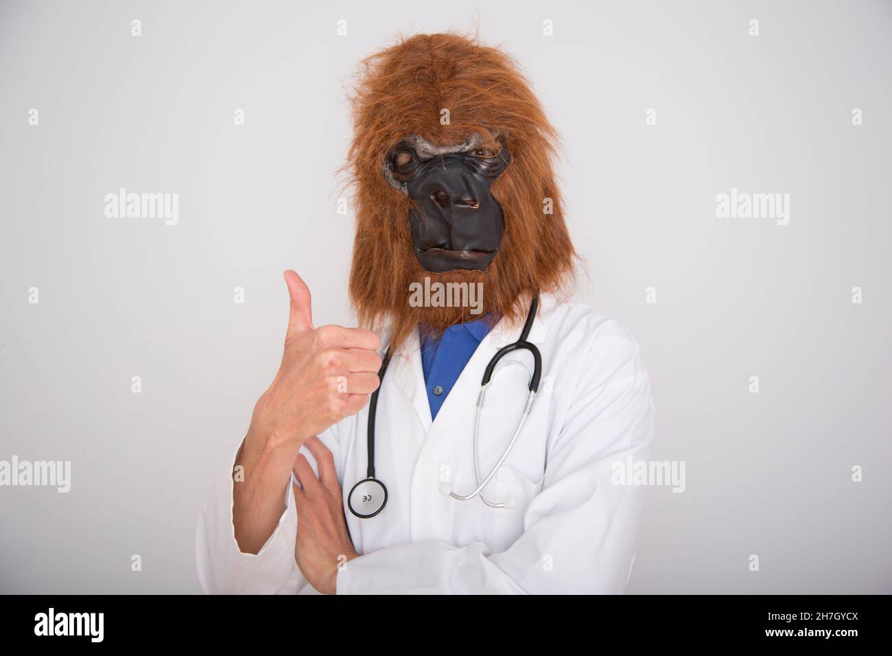 man in gorilla mask with doctor's coat and stethoscope and thumbs-up on white background Stock Photo