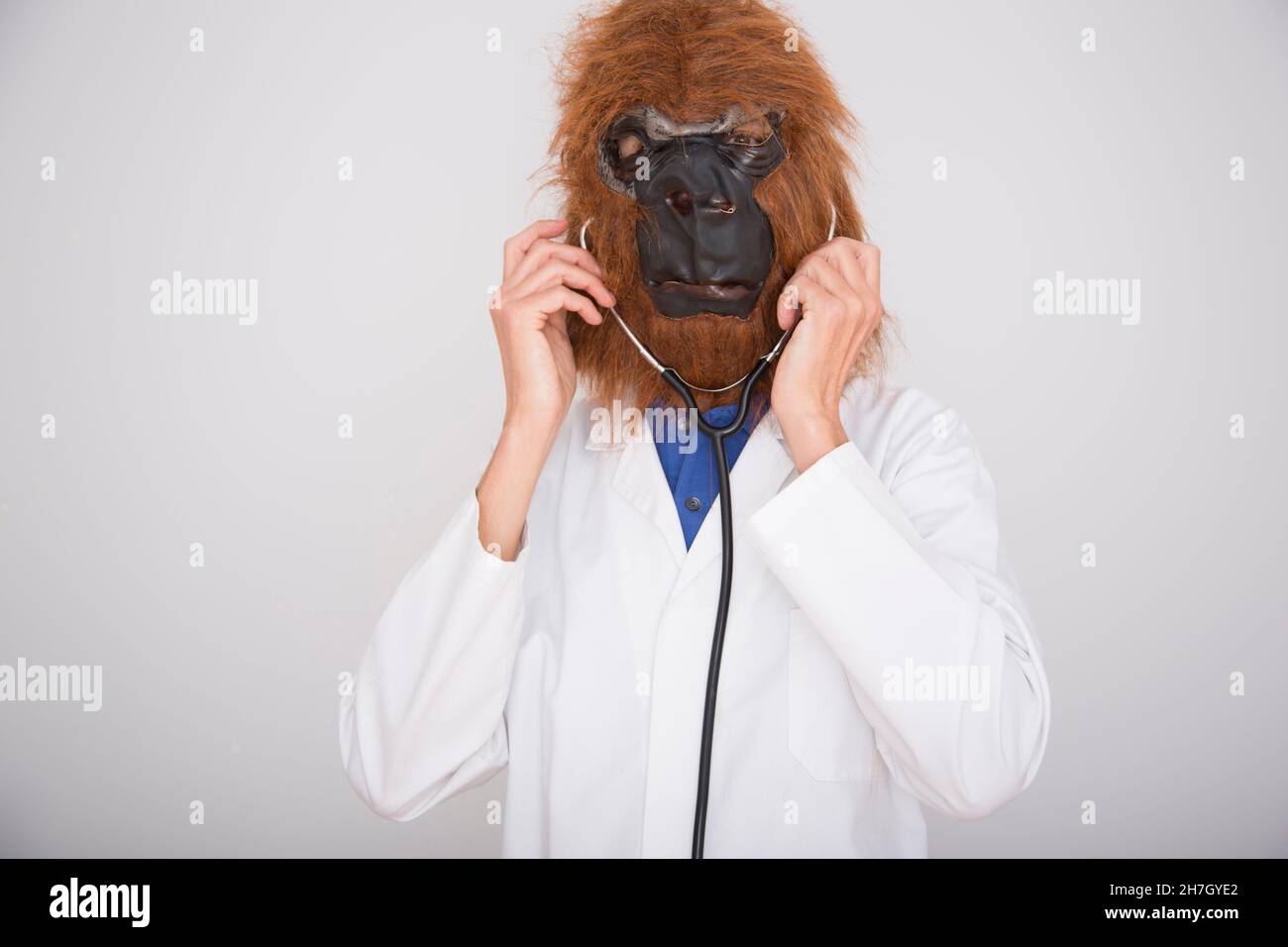man in gorilla mask with doctor's coat wearing stethoscope on white background Stock Photo