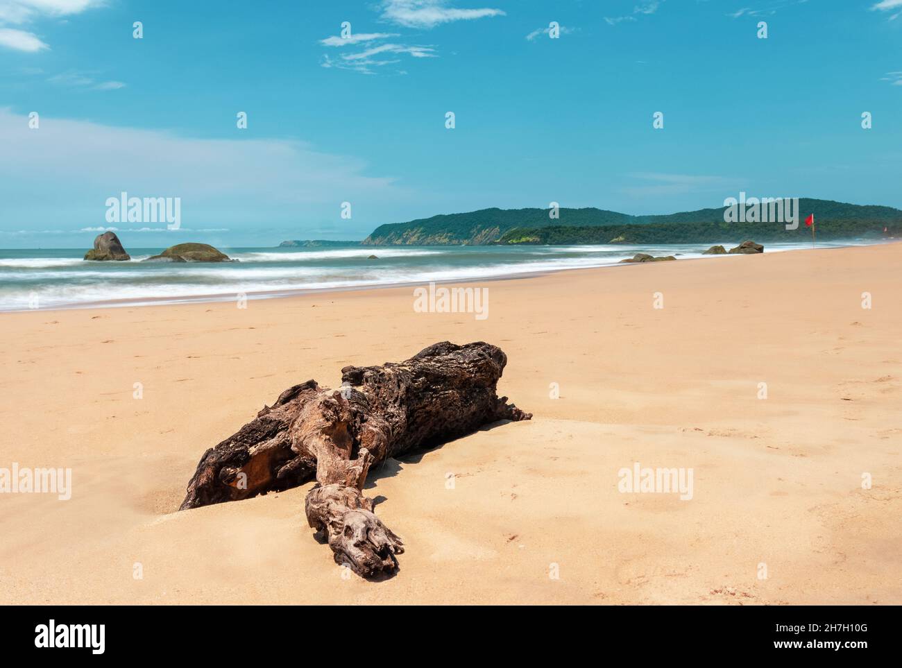 Wooden log on the shore - Agonda Beach - Goa, India Stock Photo