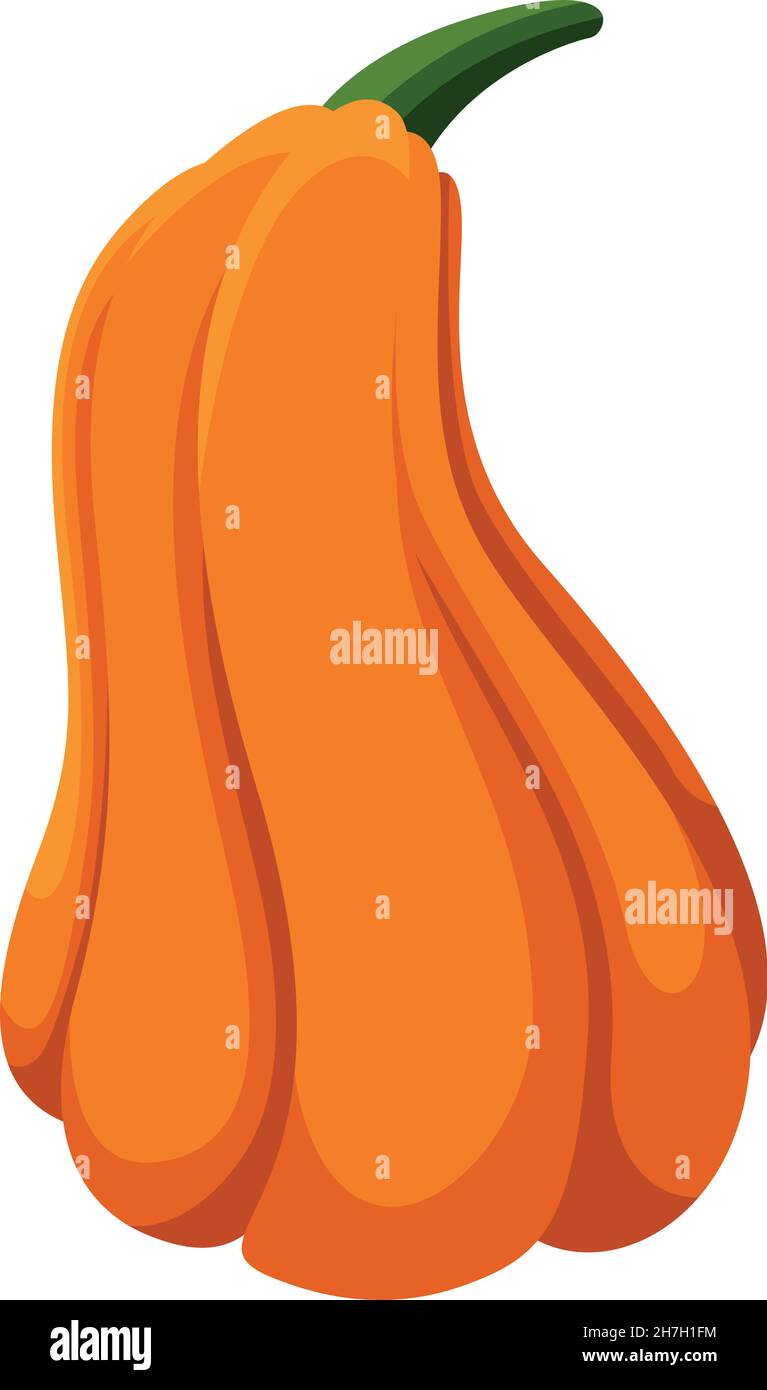 Orange pumpkin. Holiday squash clipart, gourd vegetable graphic Stock