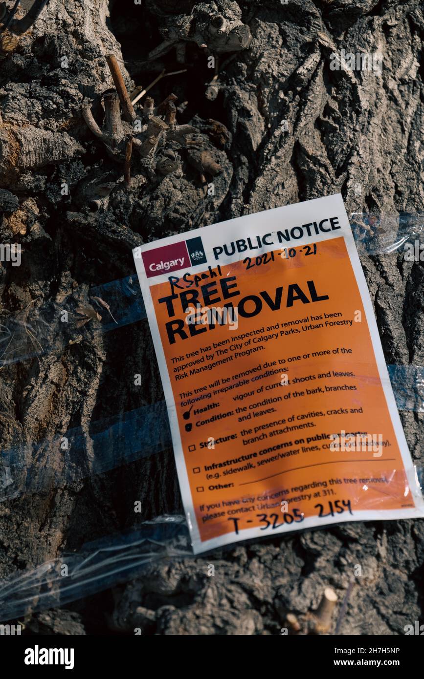 Notice of tree removal hi-res stock photography and images - Alamy