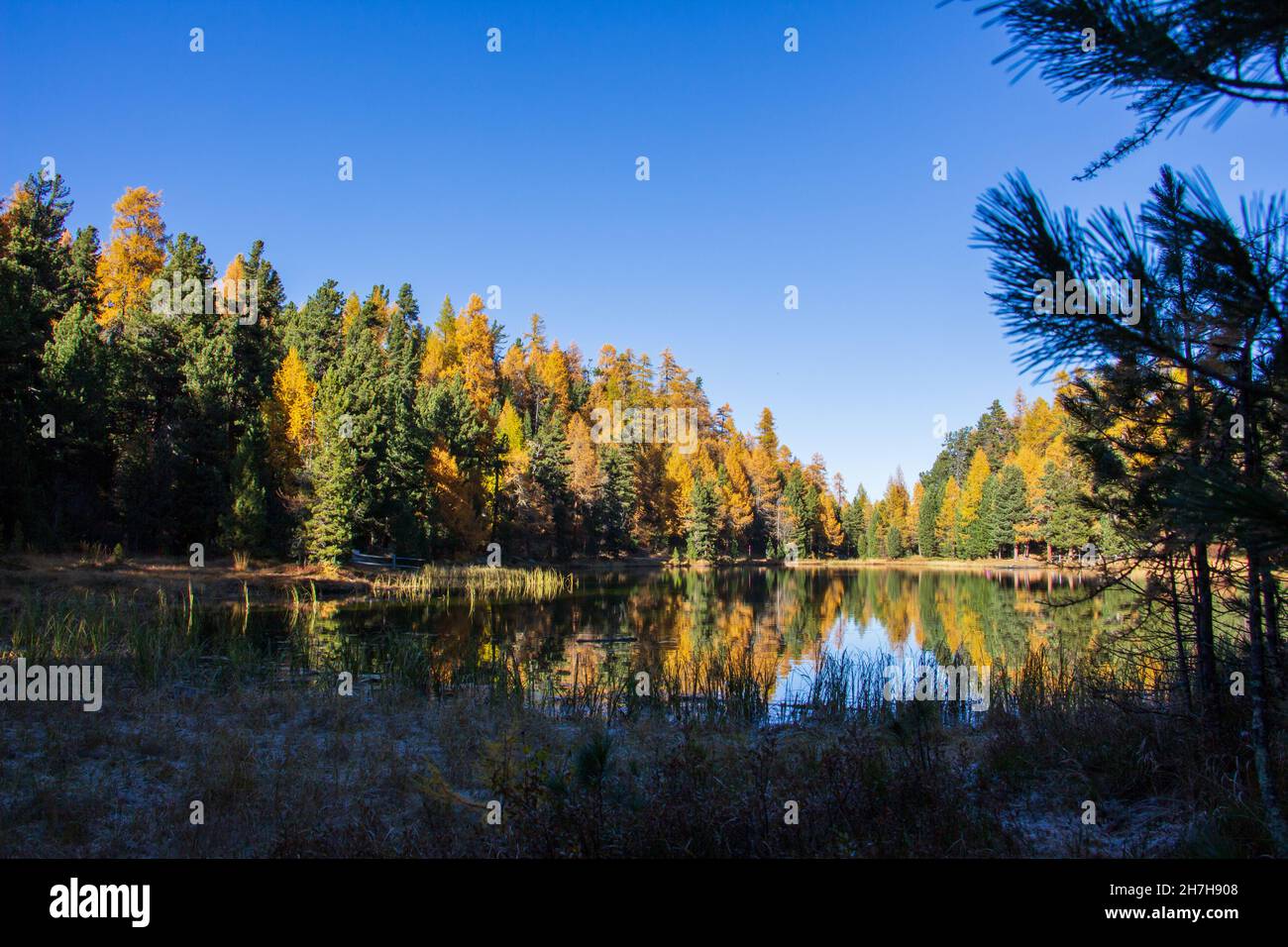 Park lake river forest sun hi-res stock photography and images - Alamy
