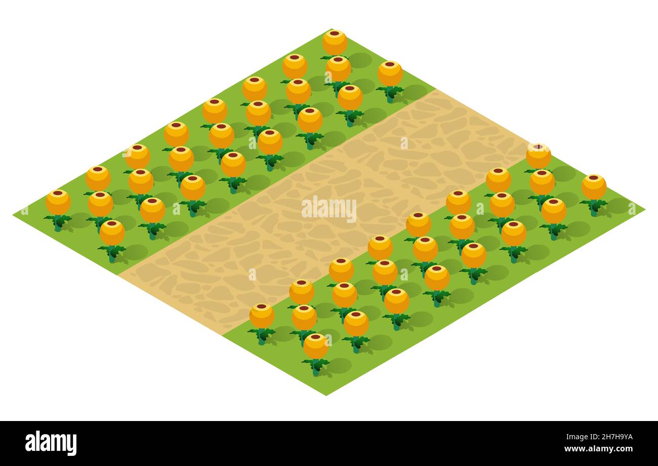 Isometric 3d illustration park trees forest nature Stock Vector Image ...