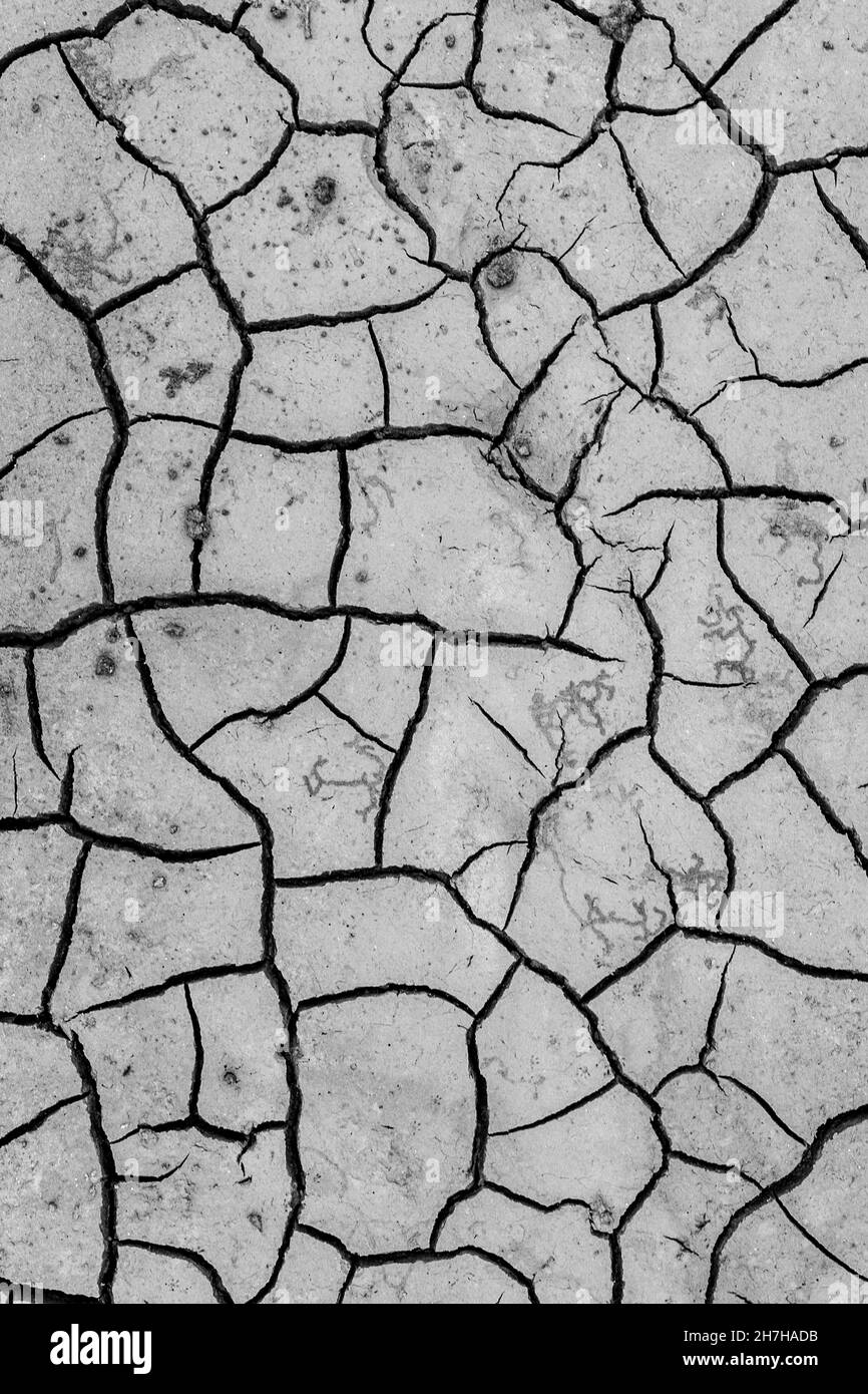 Black and white cracked earth texture background Stock Photo