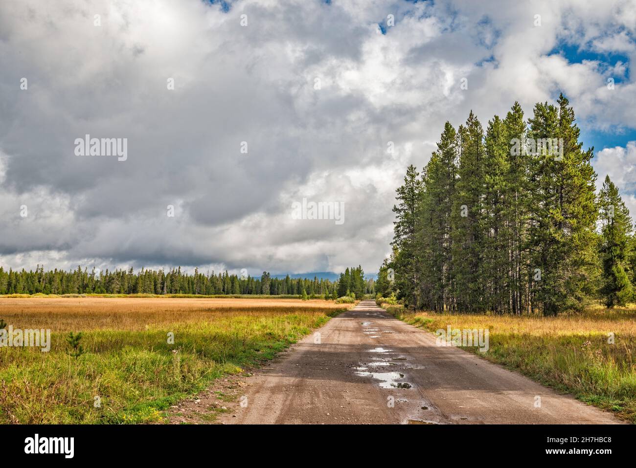 Grassy Lake Road, FR 261, after rain, Caribou Targhee National Forest