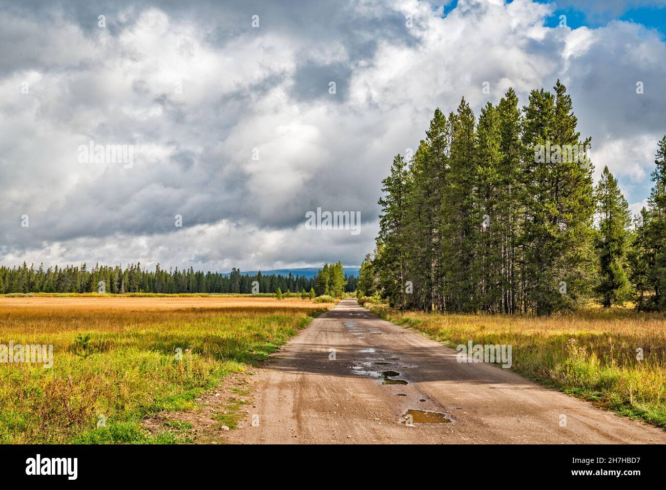 Grassy Lake Road, FR 261, after rain, Caribou Targhee National Forest