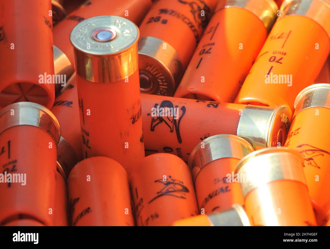 FRANCE. CARTRIDGES FOR SMALL GAME HUNT Stock Photo Alamy