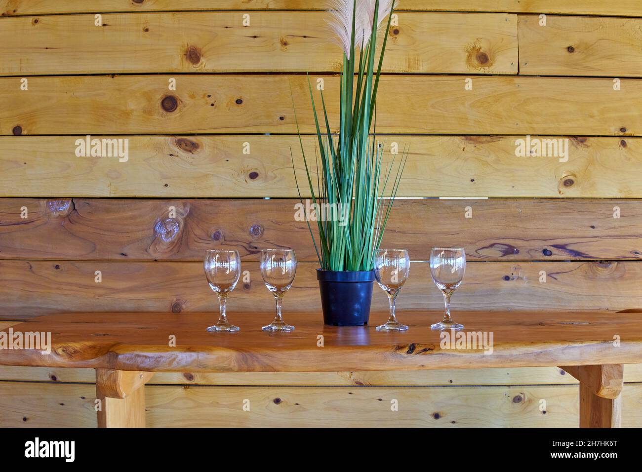 Four empty glass glasses on table and wooden background with a plant in the middle. waiting for a wine tasting at a winery in argentina. Horizontal Stock Photo