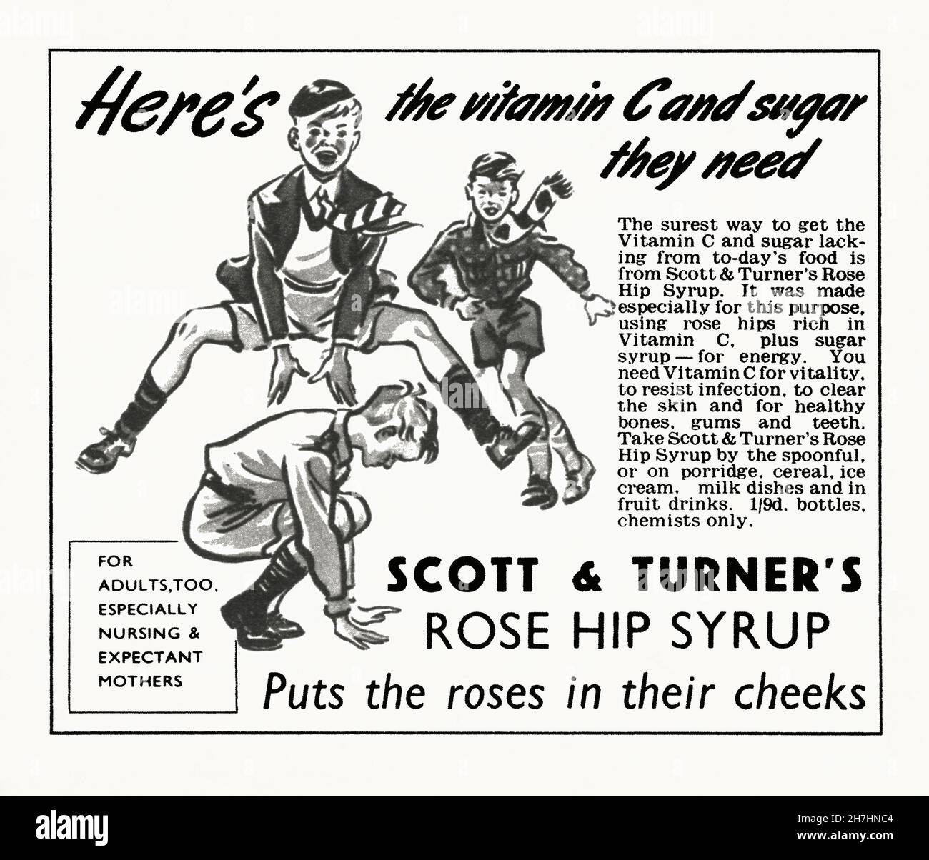 An advert for Scott and Turner’s Rose Hip Syrup, a health product – it appeared in a magazine published in the UK in 1946. The illustration shows healthy boys playing leapfrog. The rose hip or rosehip, also called rose haw and rose hep, is the fruit of the various species of the rose plant. Wild rose hip fruits are particularly rich in vitamin C – vintage 1940s graphics for editorial use. Stock Photo