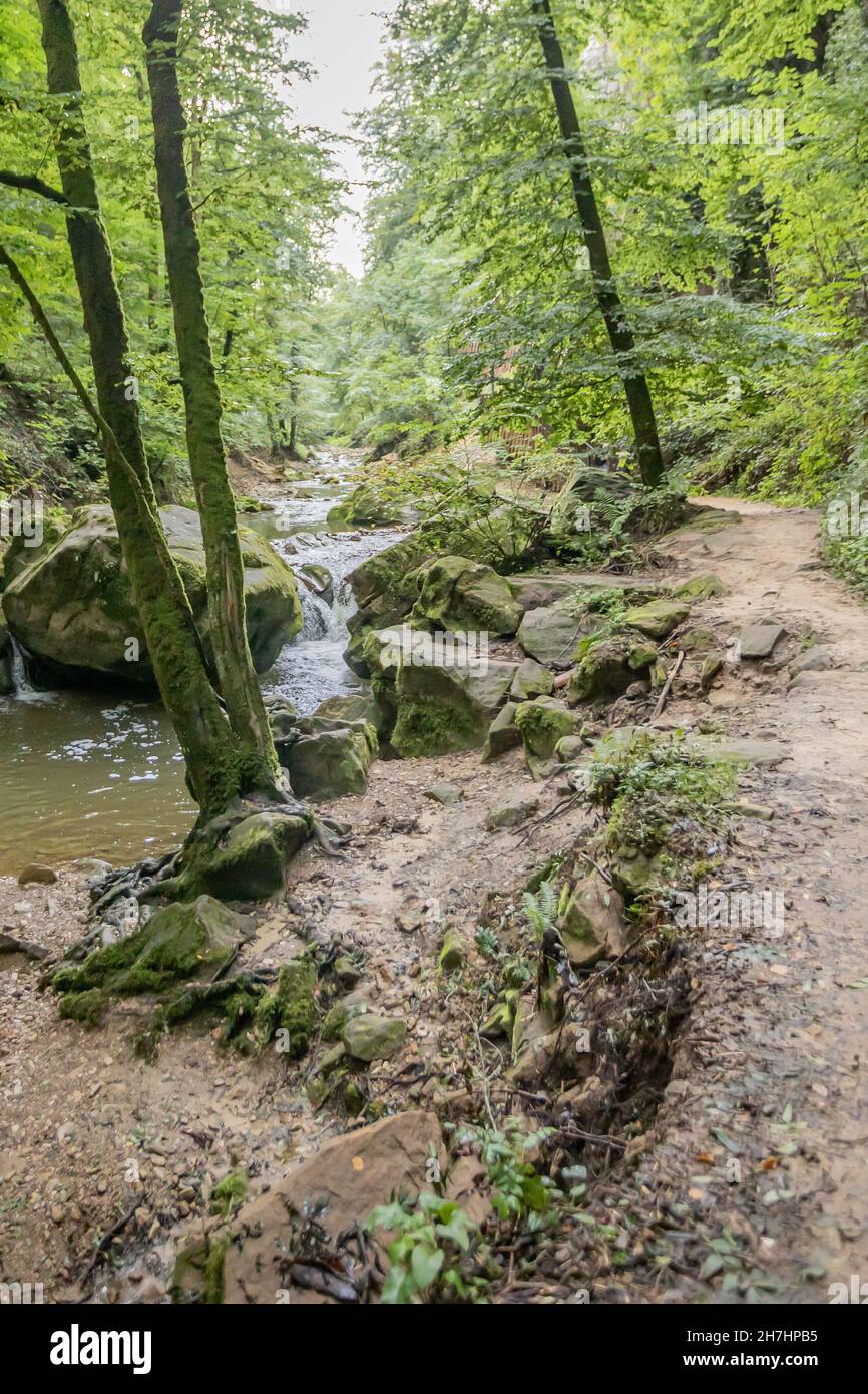 A view of a crystal clear stream along the Chninook Pass in A view of a crystal clear stream along the Chninook Pass in