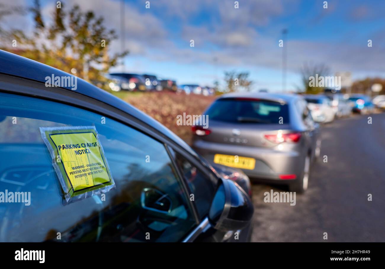 Car with parking ticket on the window Stock Photo
