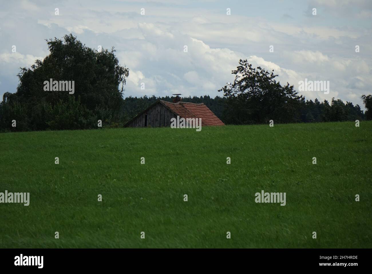 Meadow and wooden barn in the Franconian summer landscape around Aufseß