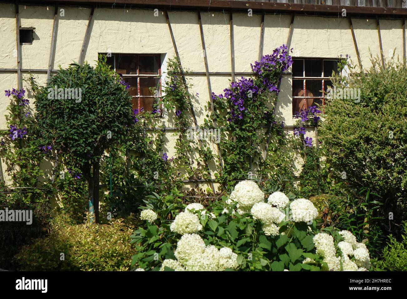 Beautiful garden in front of an old Franconian framework farmhouse in