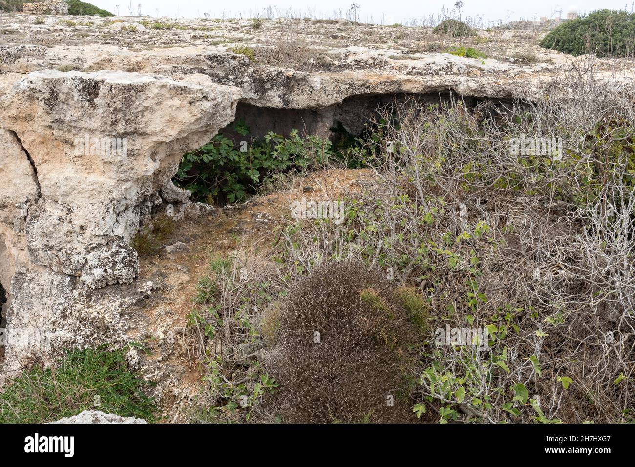 Pul uchun masturbatsiya qilingan porno video