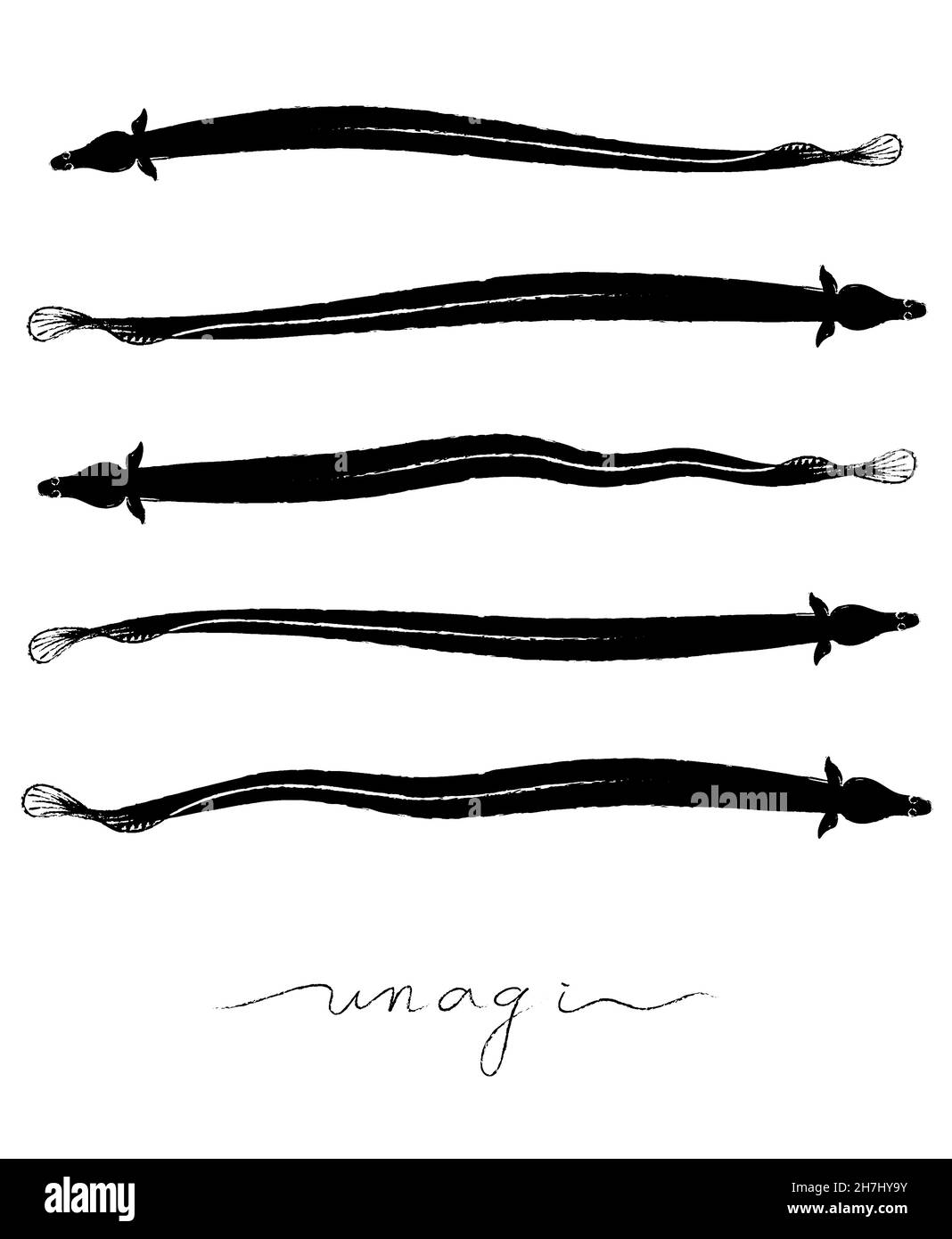 Japanese Unagi ( eel ) illustration by sumi brush Stock Photo