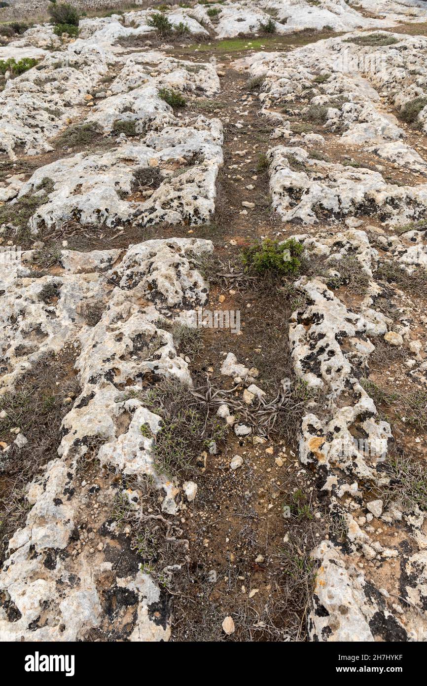 The Mysterious Cart Ruts carved in the rock at Clapham Junction in Malta, Europe Stock Photo