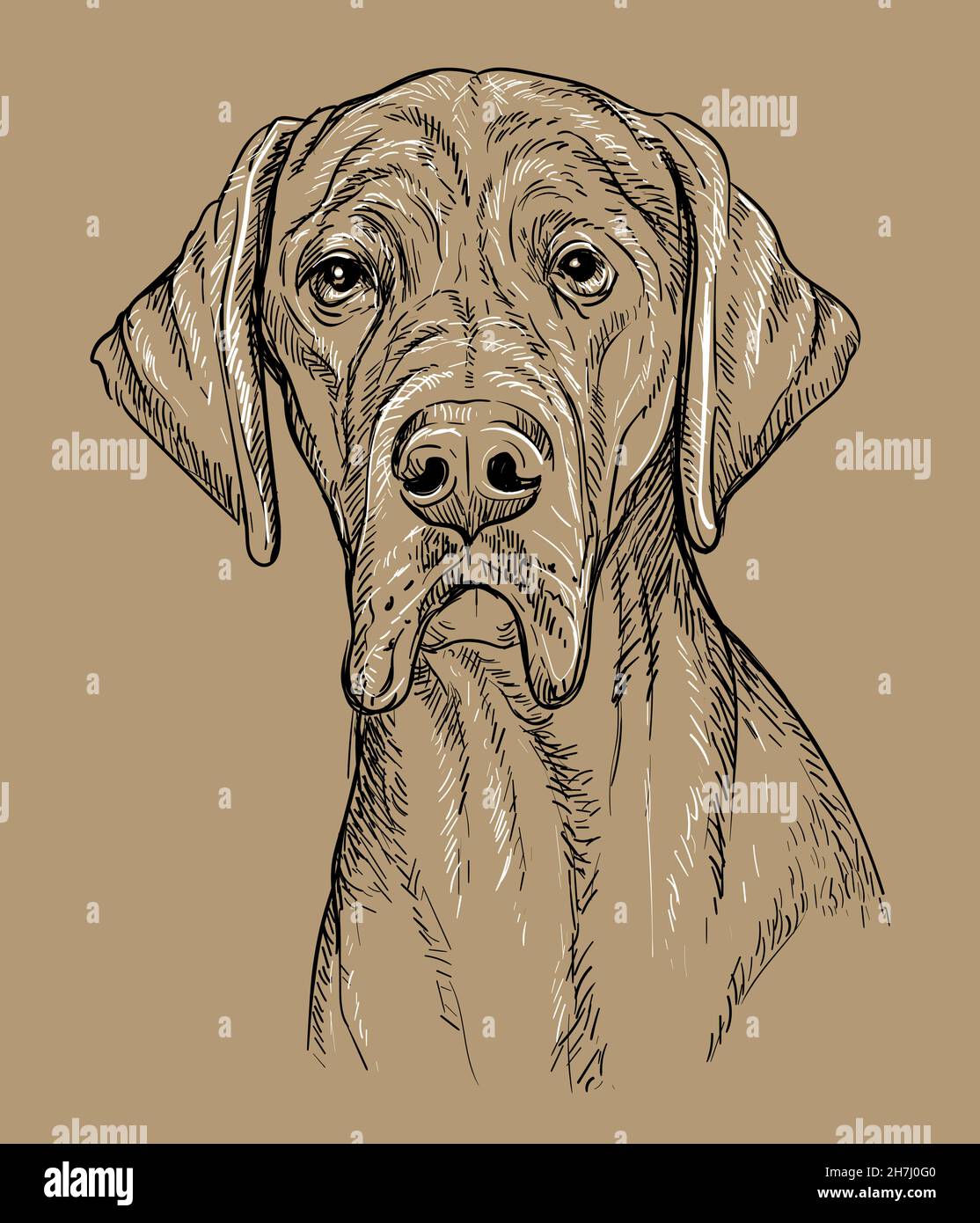 Real life puppy coloring pages