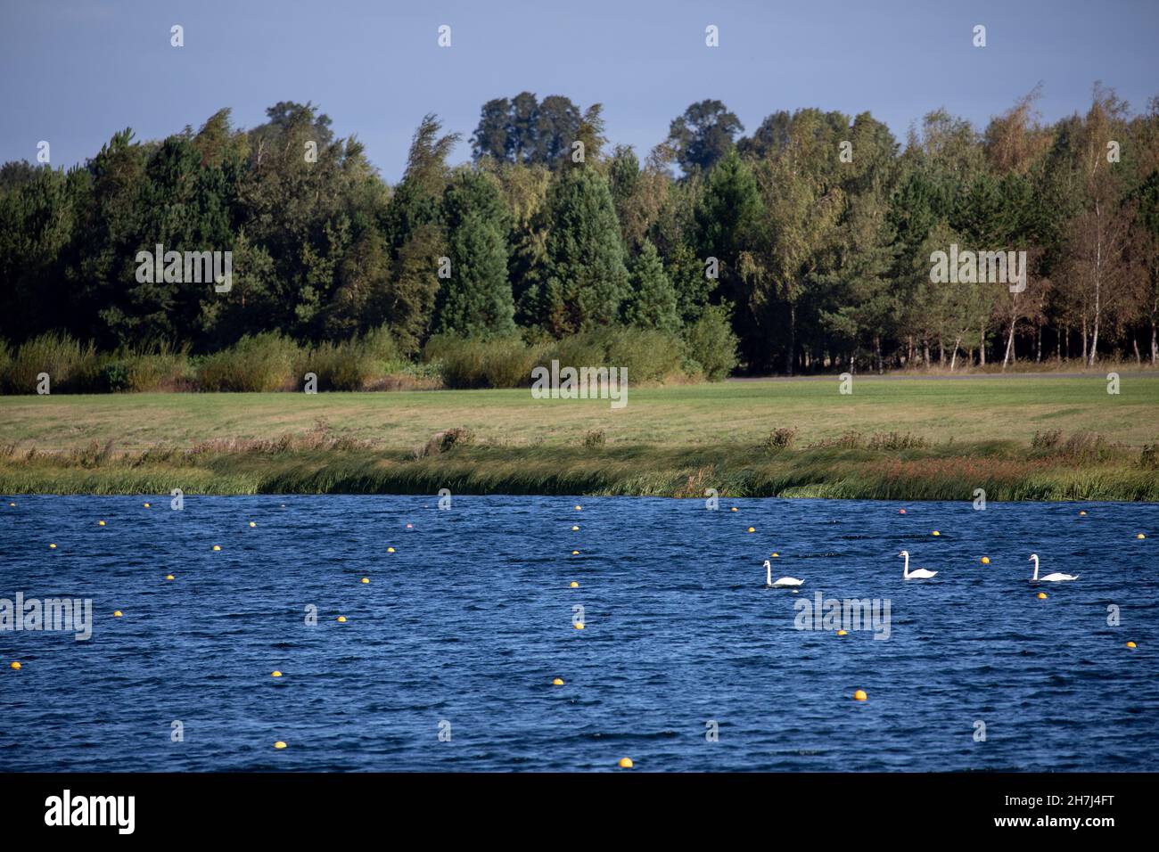 Dorney Lake in the United Kingdom on the 26th August 2020 Stock Photo
