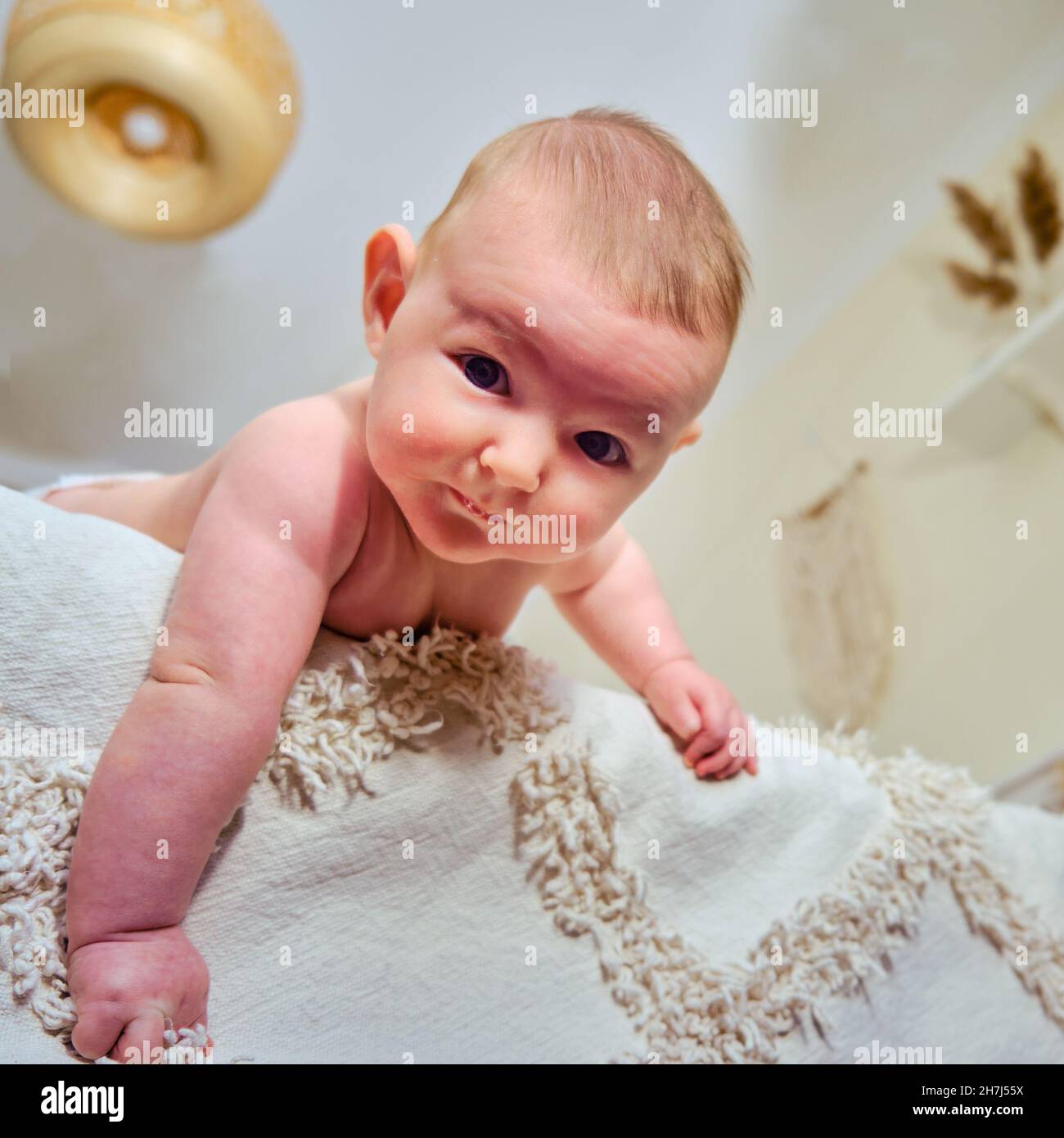 Falling out bed hires stock photography and images Alamy