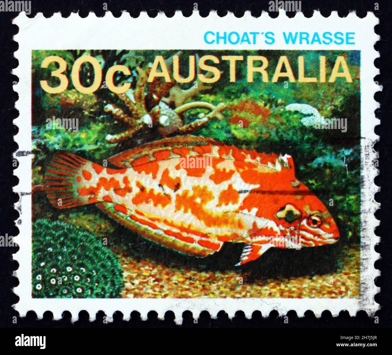 AUSTRALIA - CIRCA 1984: a stamp printed in the Australia shows Choat’s Wrasse, Macropharyngodon Choati, Choati Leopard Wrasse, circa 1984 Stock Photo