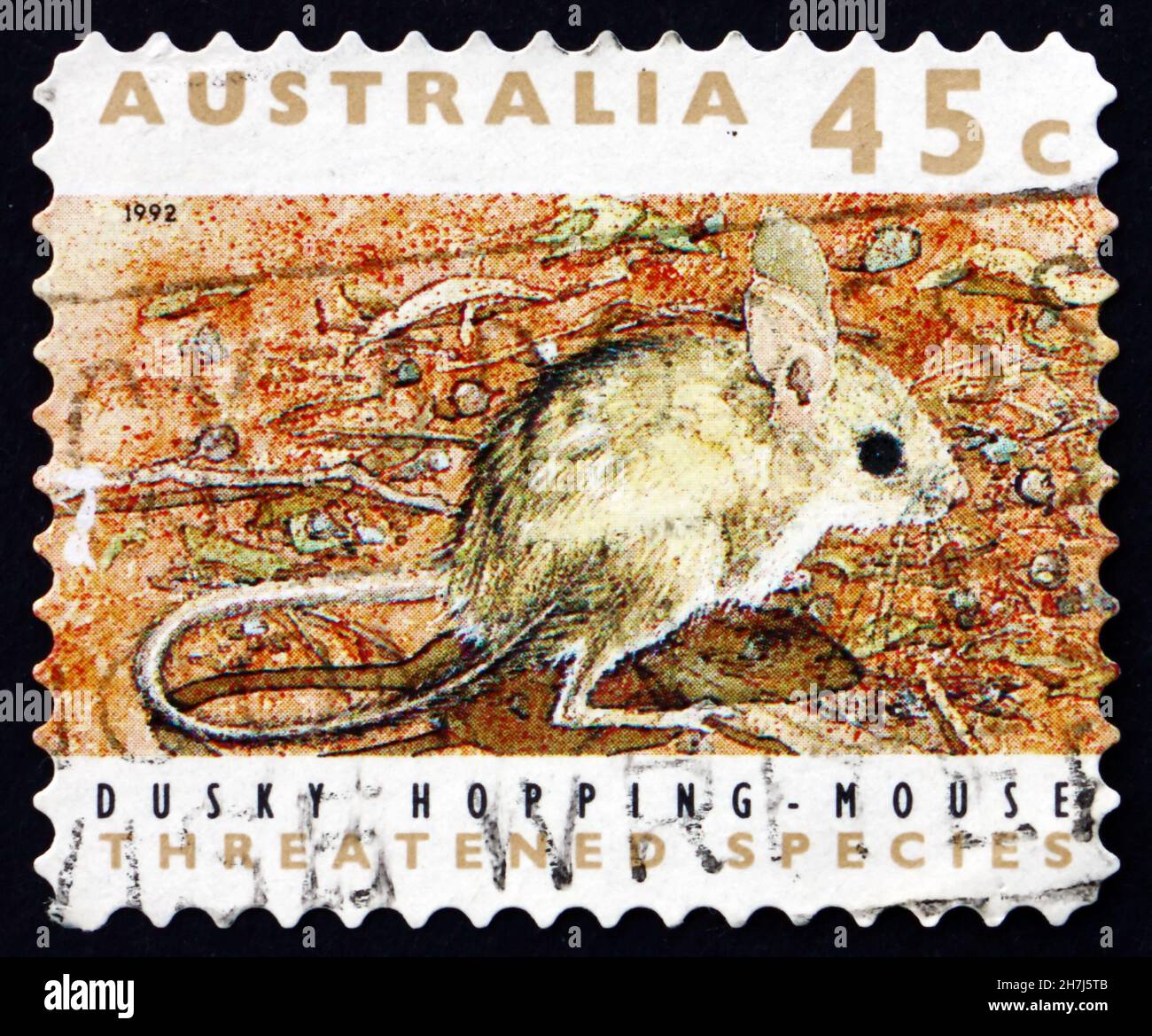 AUSTRALIA - CIRCA 1992: a stamp printed in the Australia shows Dusky Hopping Mouse, Notomys Fuscus, Rodent, circa 1992 Stock Photo