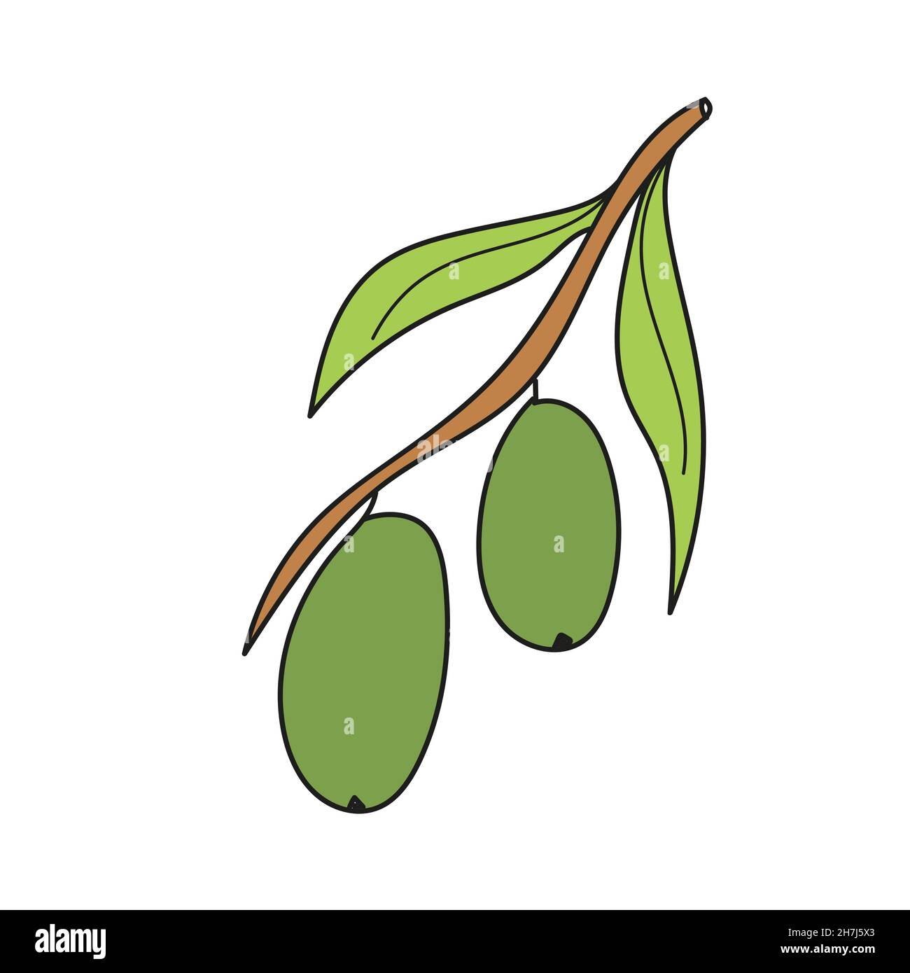 Simple cartoon icon. Branch of olive. Cartoon flat vector colorful