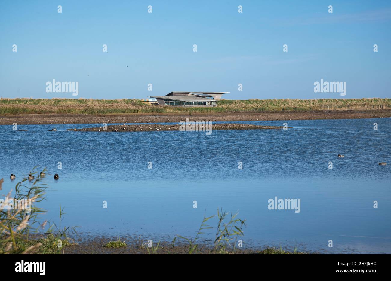 Titchwell Marsh RSPB reserve, looking towards the Parrinder hide Stock Photo